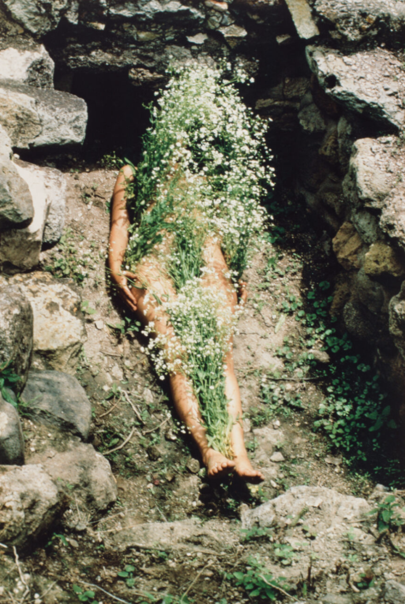 Screen Shot 2025-12-21 at 9.08.14 AM.png