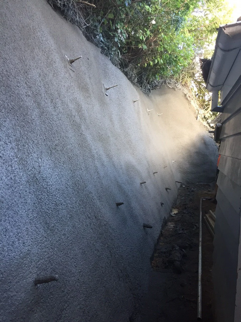 Freshly poured concrete wall with metal rebar pegs on a construction site, with foliage and a house roof in the background.