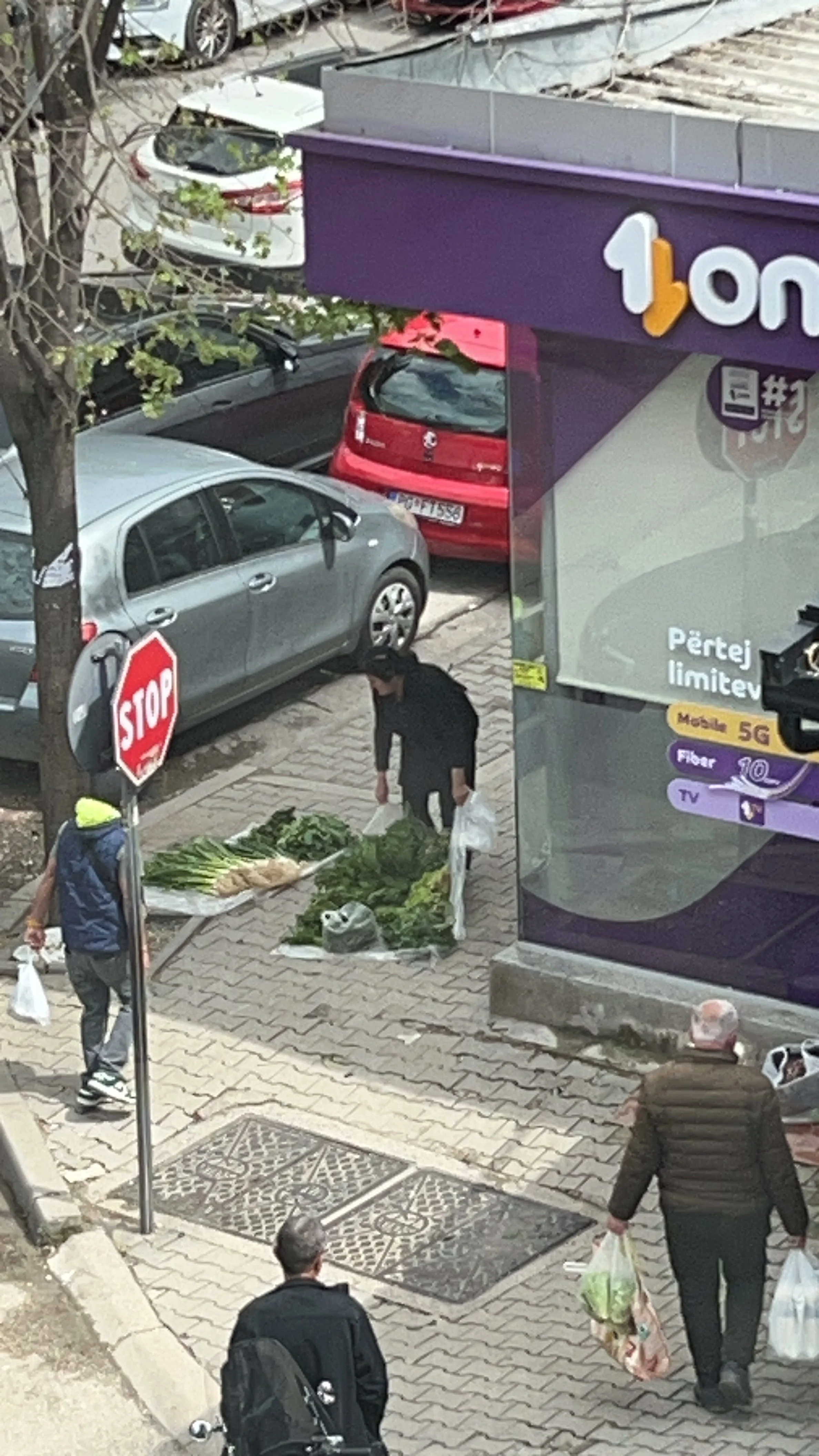 場所移動！🥬写真ゲット笑