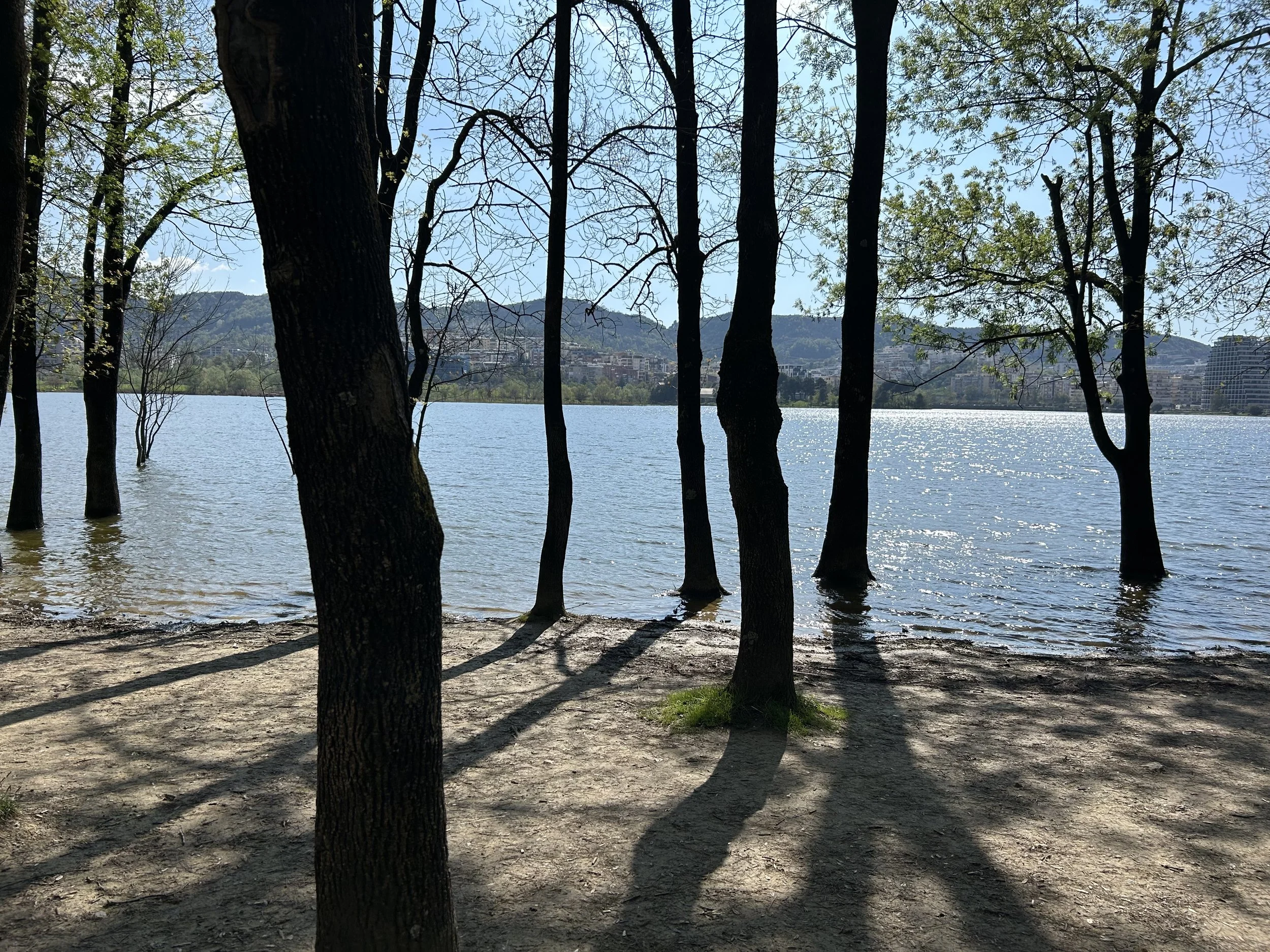 IMG_5569.jpeg