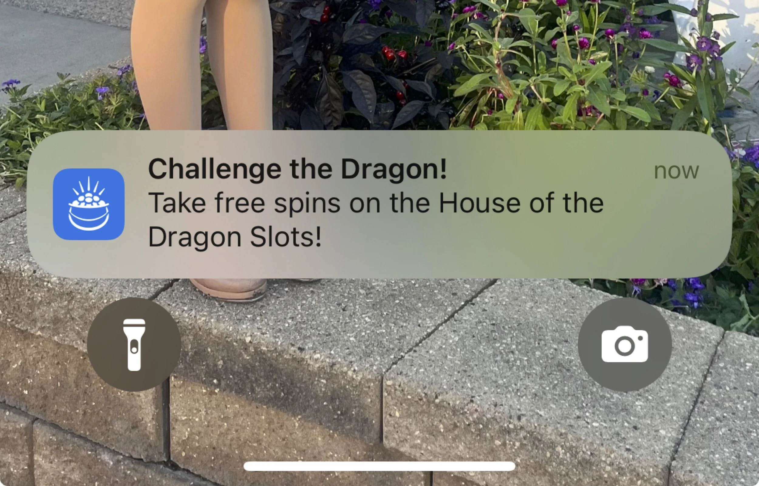 House of the Dragon Push Title Card - iOS