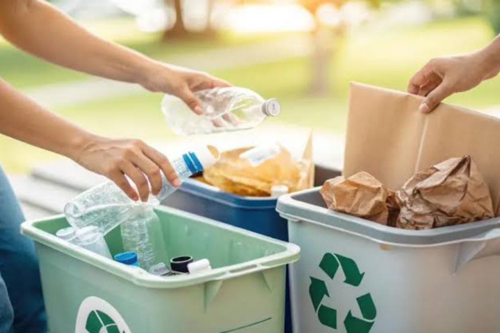 How to Create a Waste Management Plan for a Multi-Site Business
