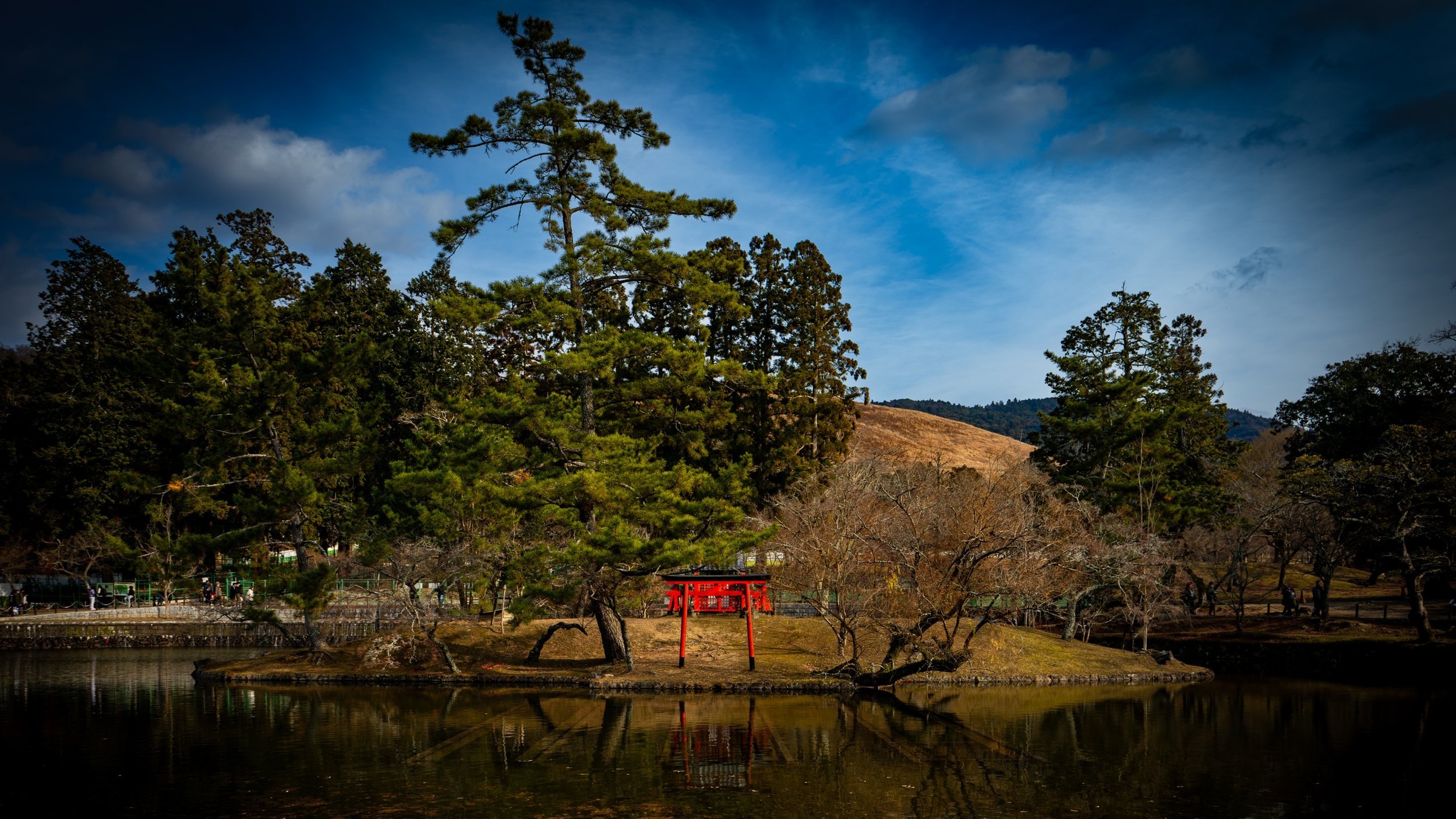 A landscape with a lake in the foreground, pine trees and leafless trees, a red shrine, and a hillside under a partly cloudy blue sky.