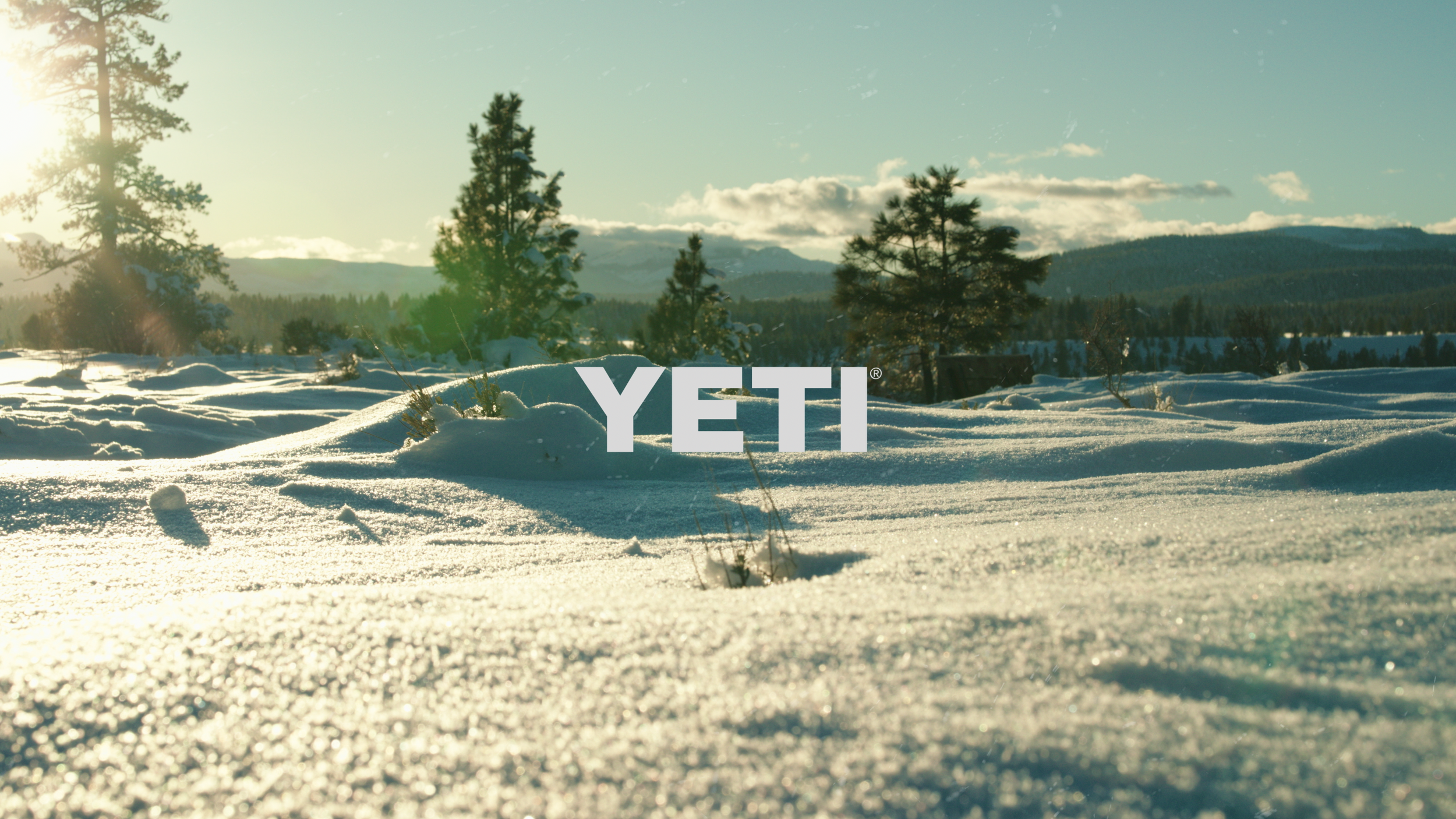 Screenshot 2026-01-11 at 7.13.34 PM.png