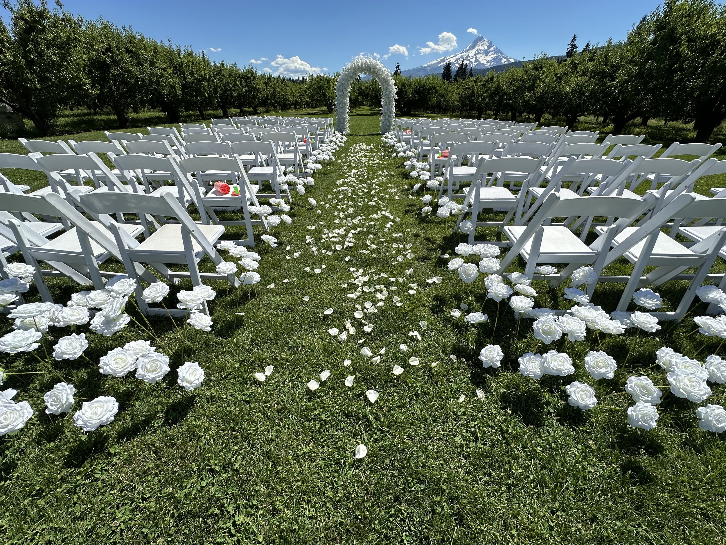 Outdoor wedding ceremony setup with white chairs decorated with white roses along an aisle on green grass, with a floral arch, mountains, and trees in the background.