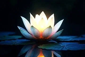 Reclaim Your Radiance
