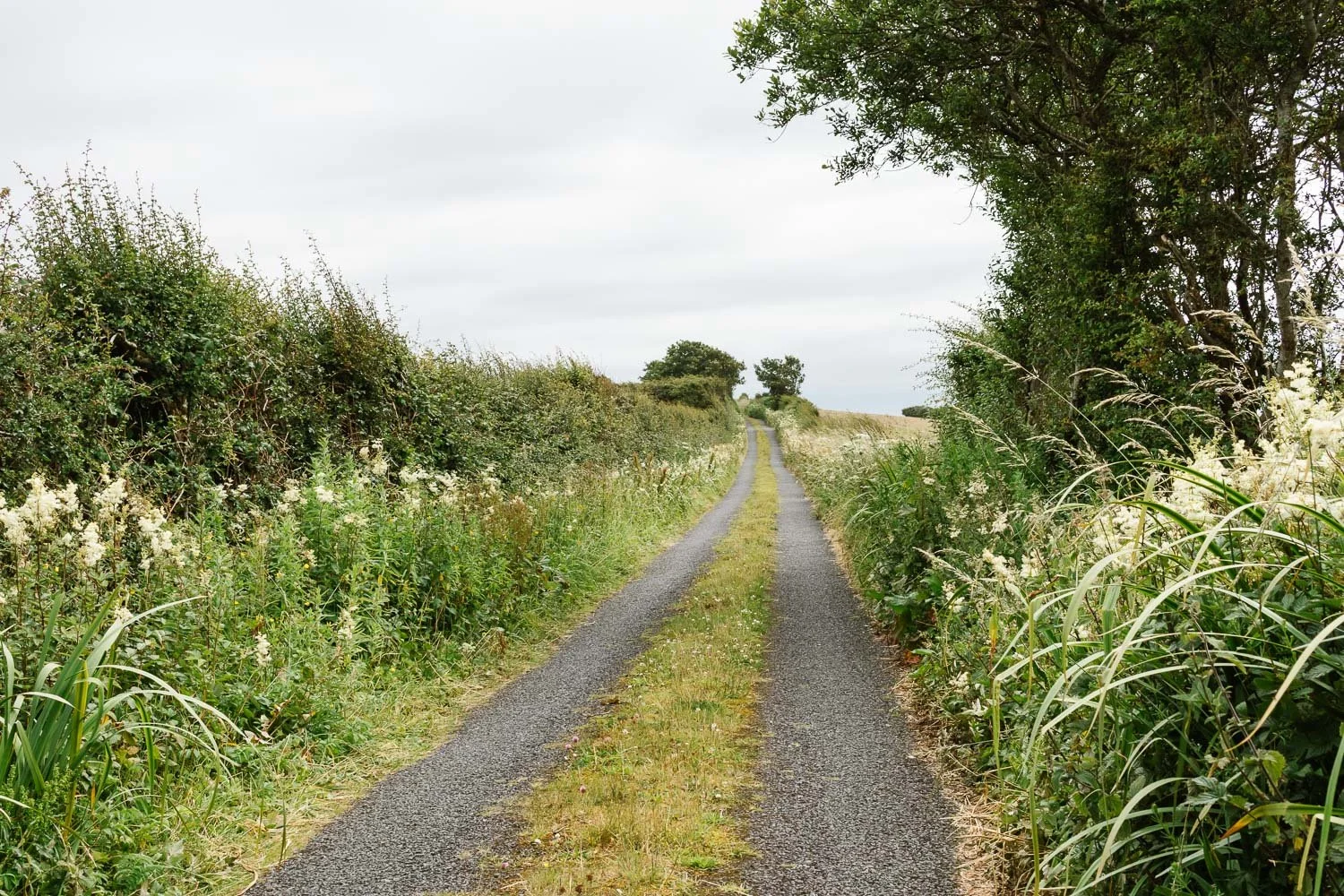  Classic ‘grass up the middle’ road found on the route 