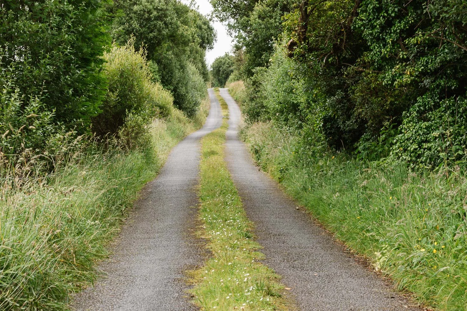  Perfect bikepacking road near Ardara 