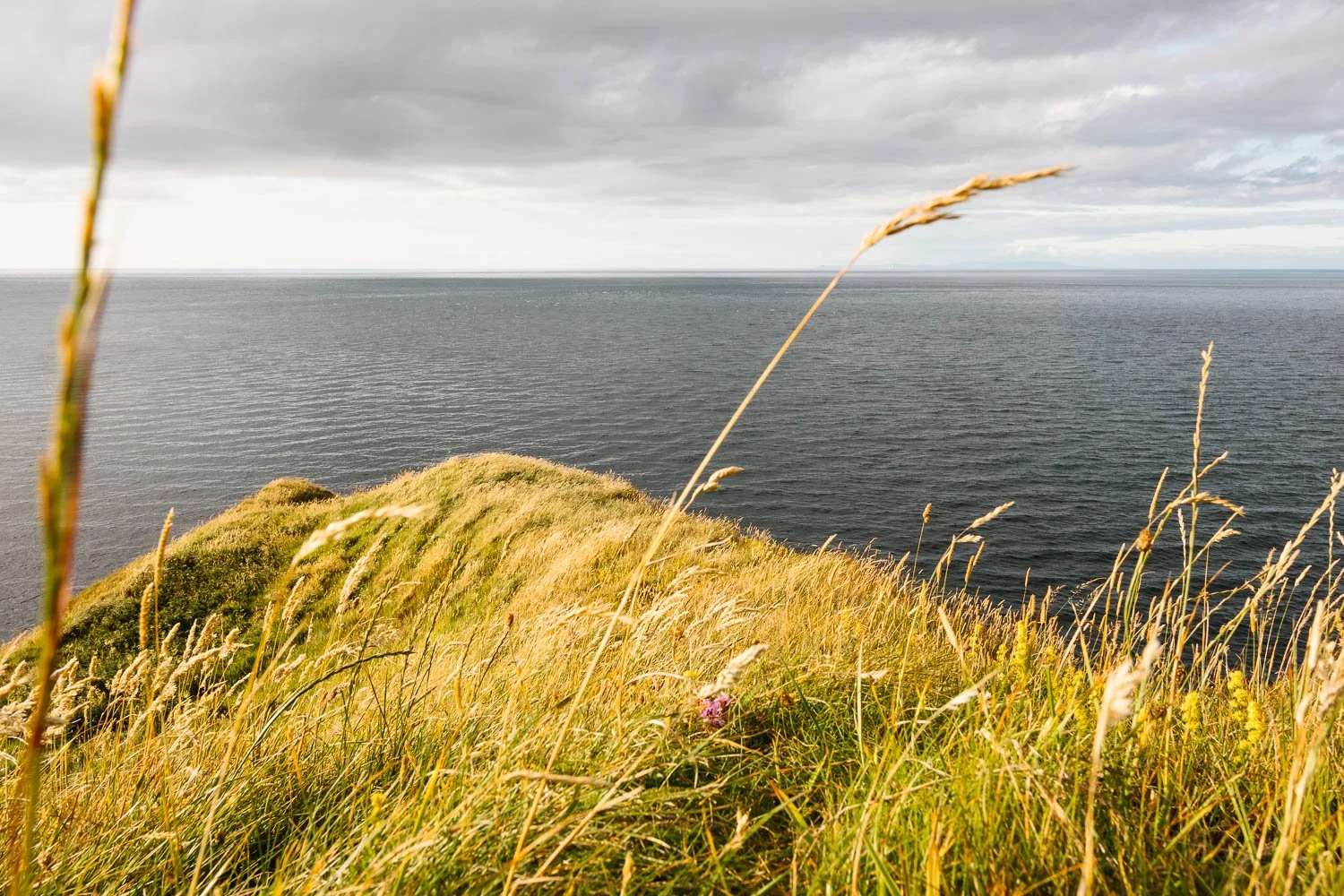 Sunset view on the Causeway Coast