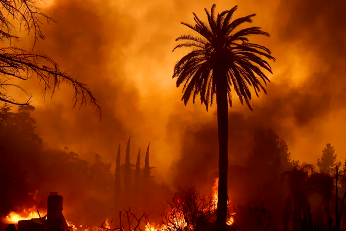 Tax Relief for Angelenos