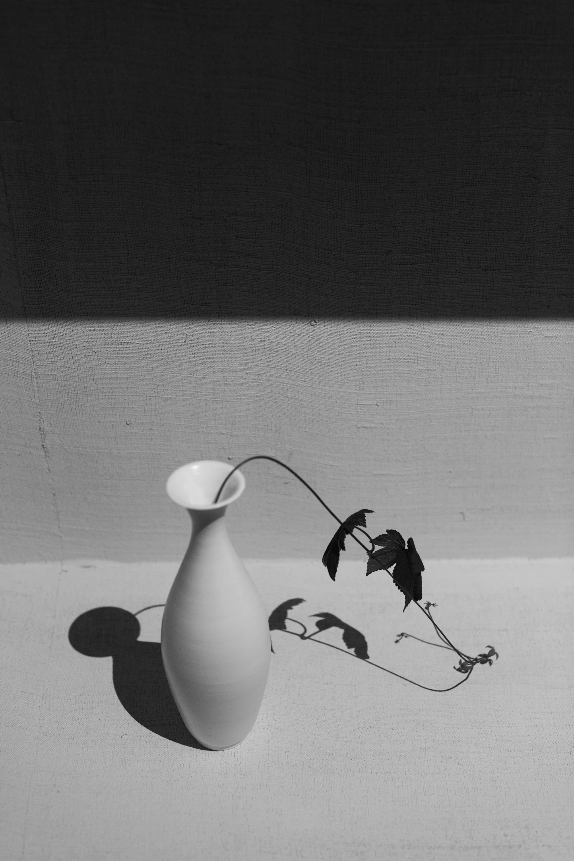 White Through Time, Shanye Art Gallery, Shanghai, China, 2025