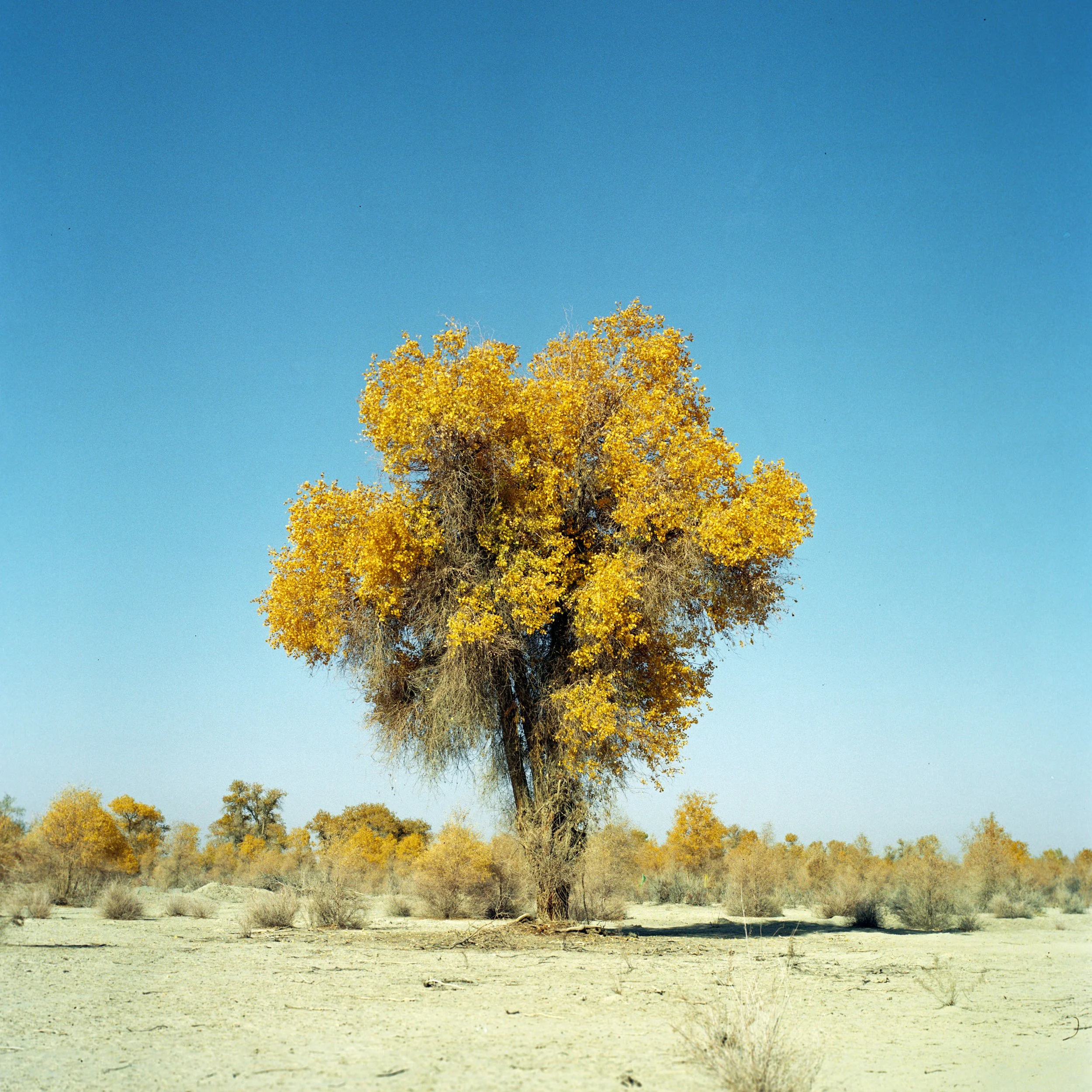 Akesu, Xinjiang, China, 2023