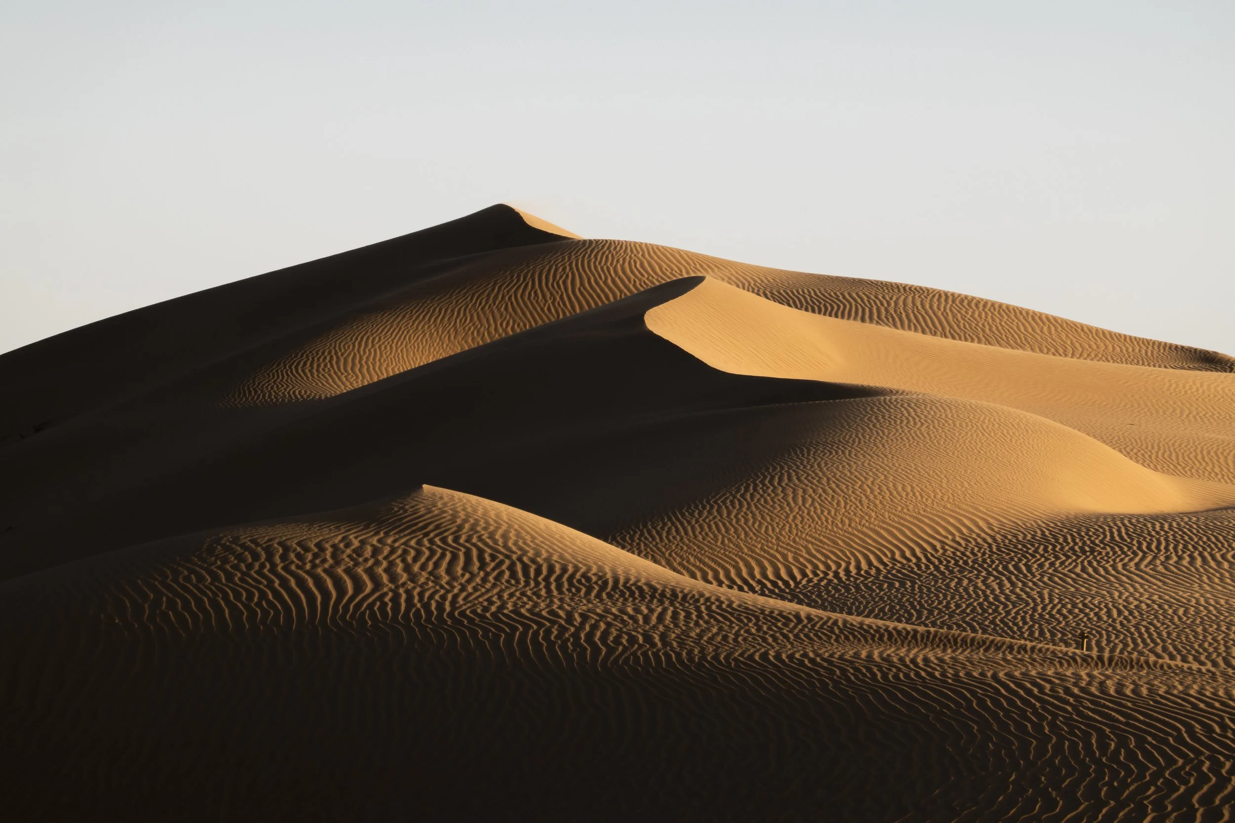 Zhongwei, Ningxia, China, 2026