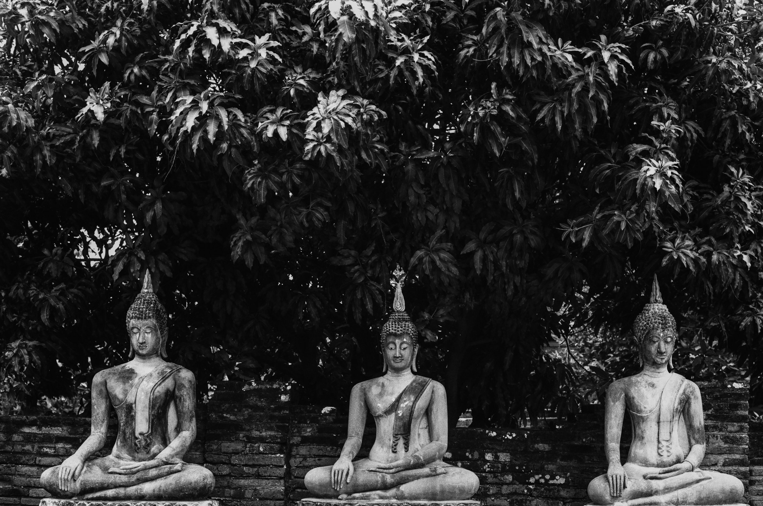 Ayutthaya, Thailand, 2024