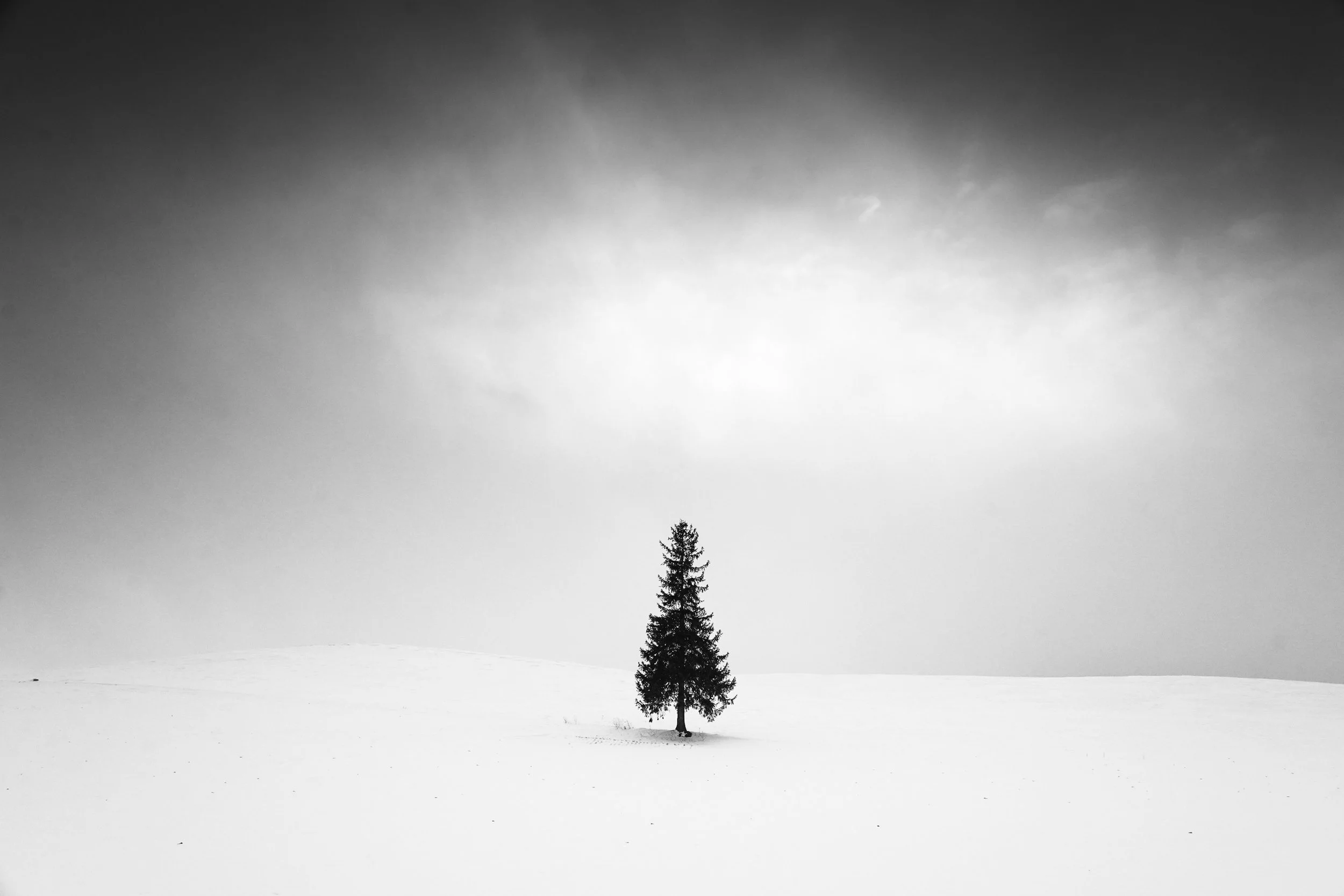 Bibaushi, Hokkaido, Japan, 2020