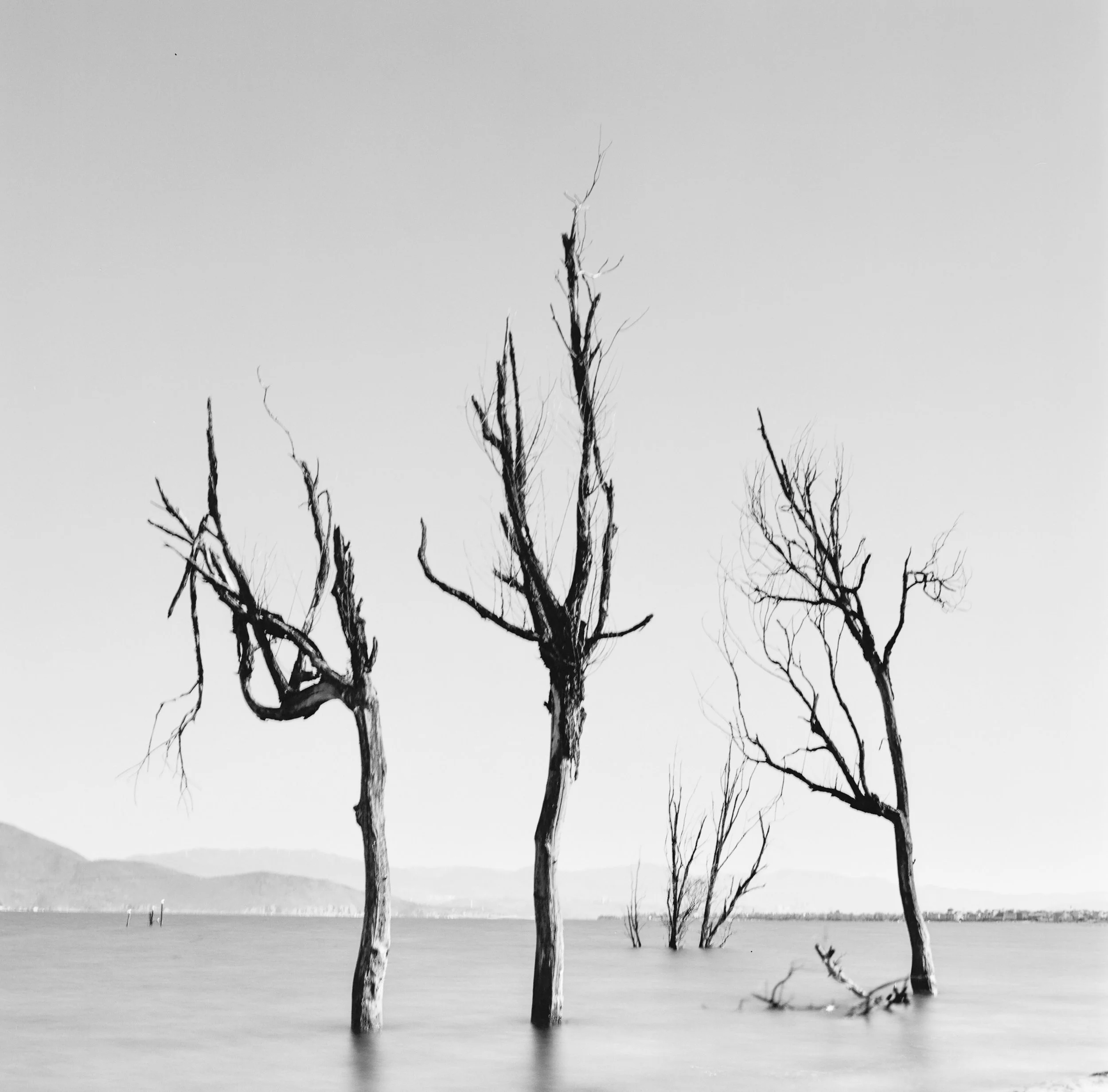 Erhai Lake, Dali, China, 2025