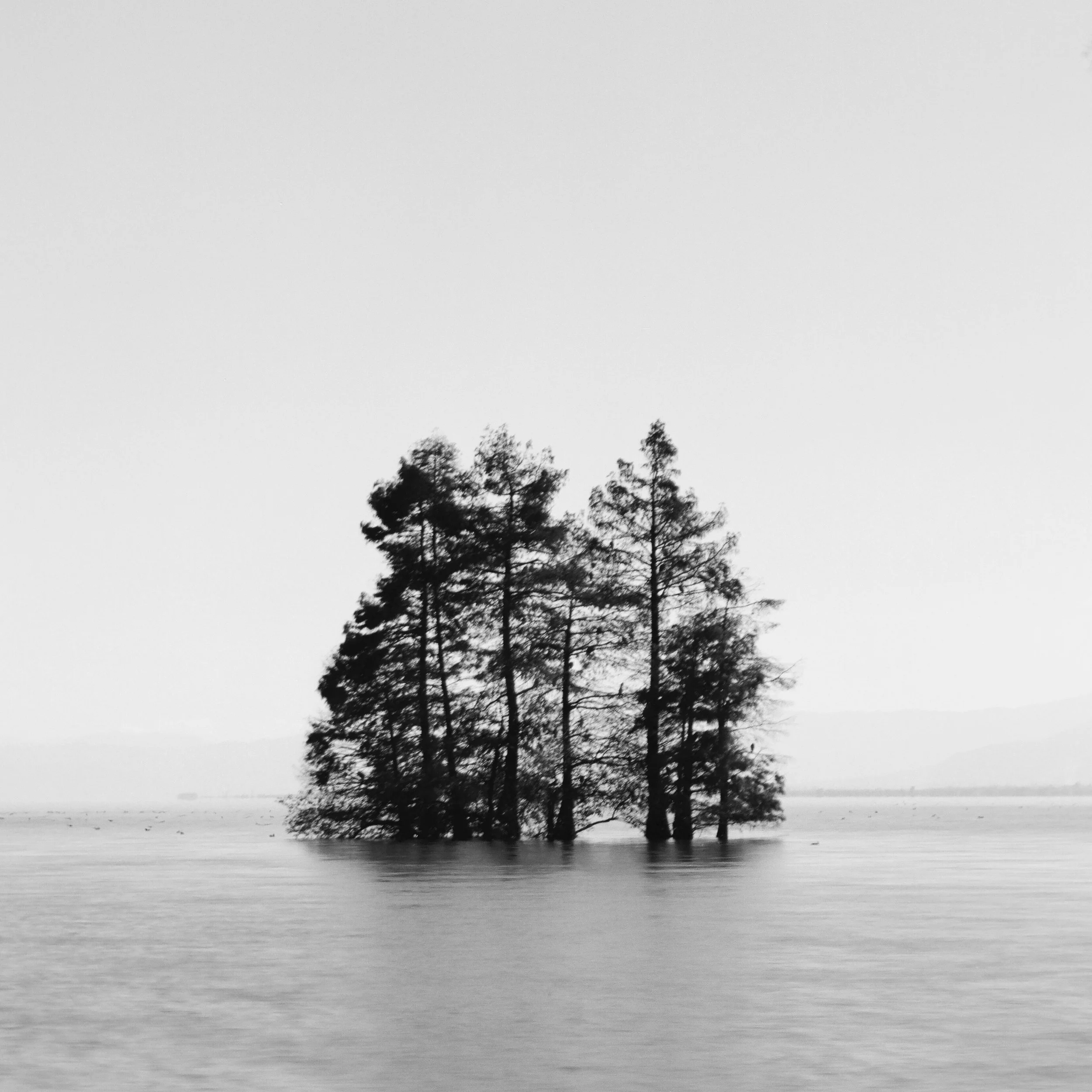 Erhai Lake, Dali, China, 2025