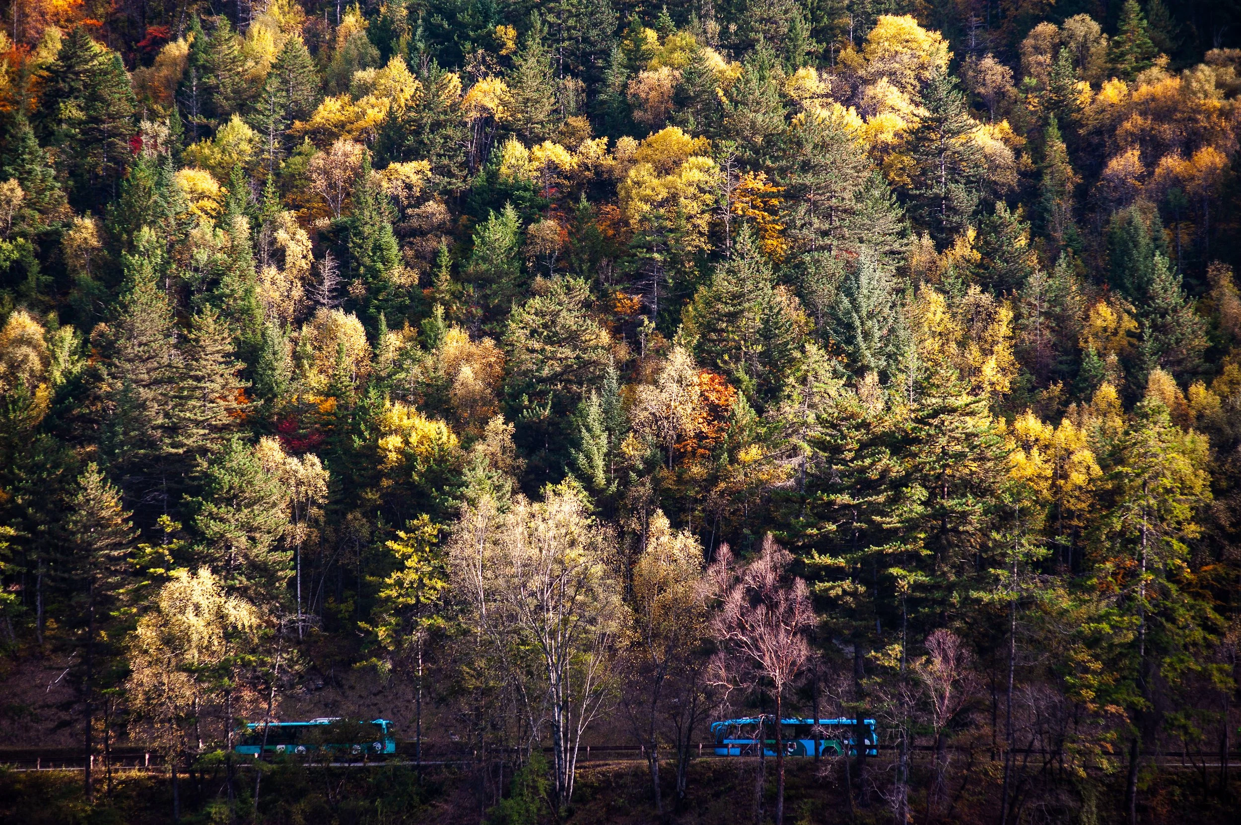 Jiuzhai Valley, China, 2011