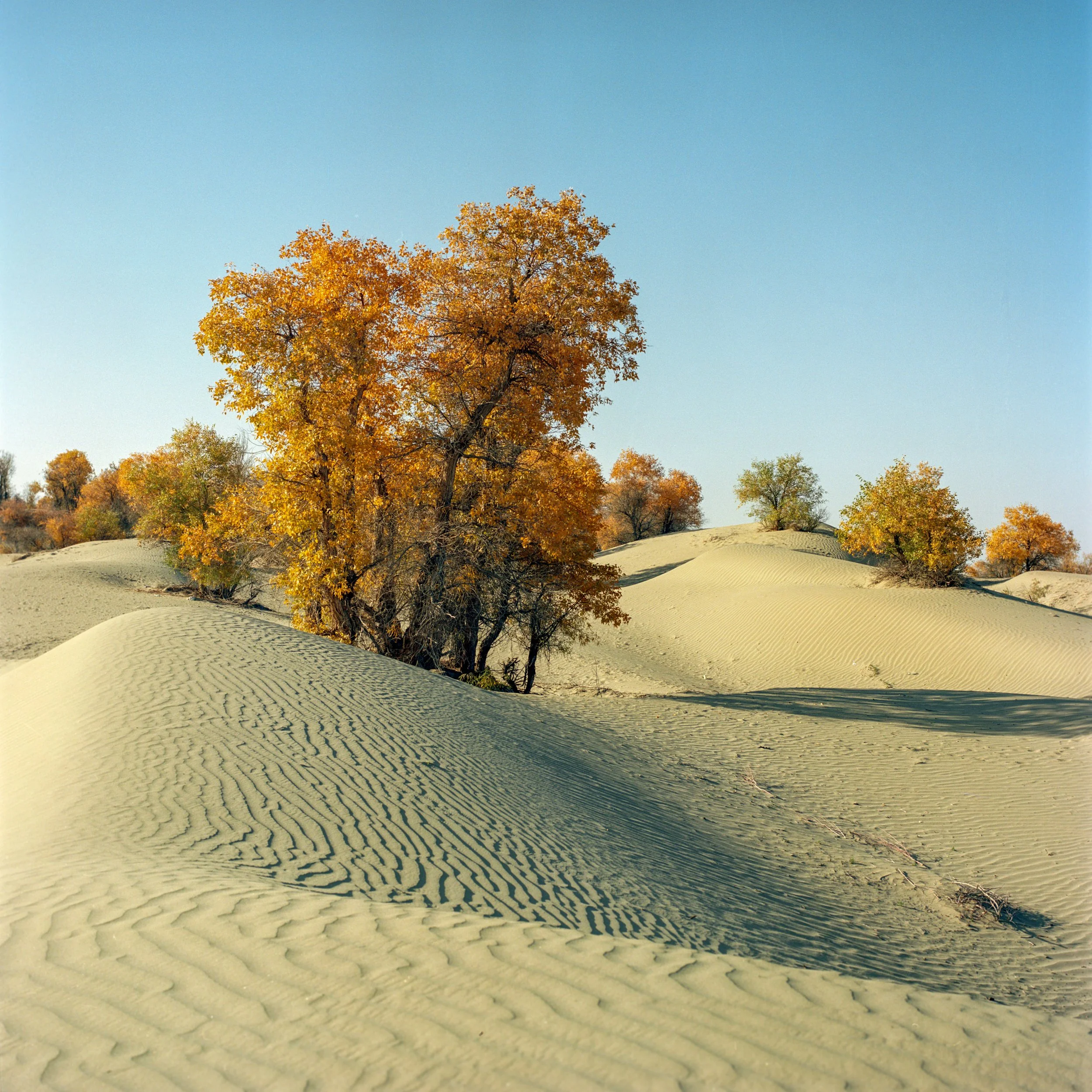 Akesu, Xinjiang, China, 2023