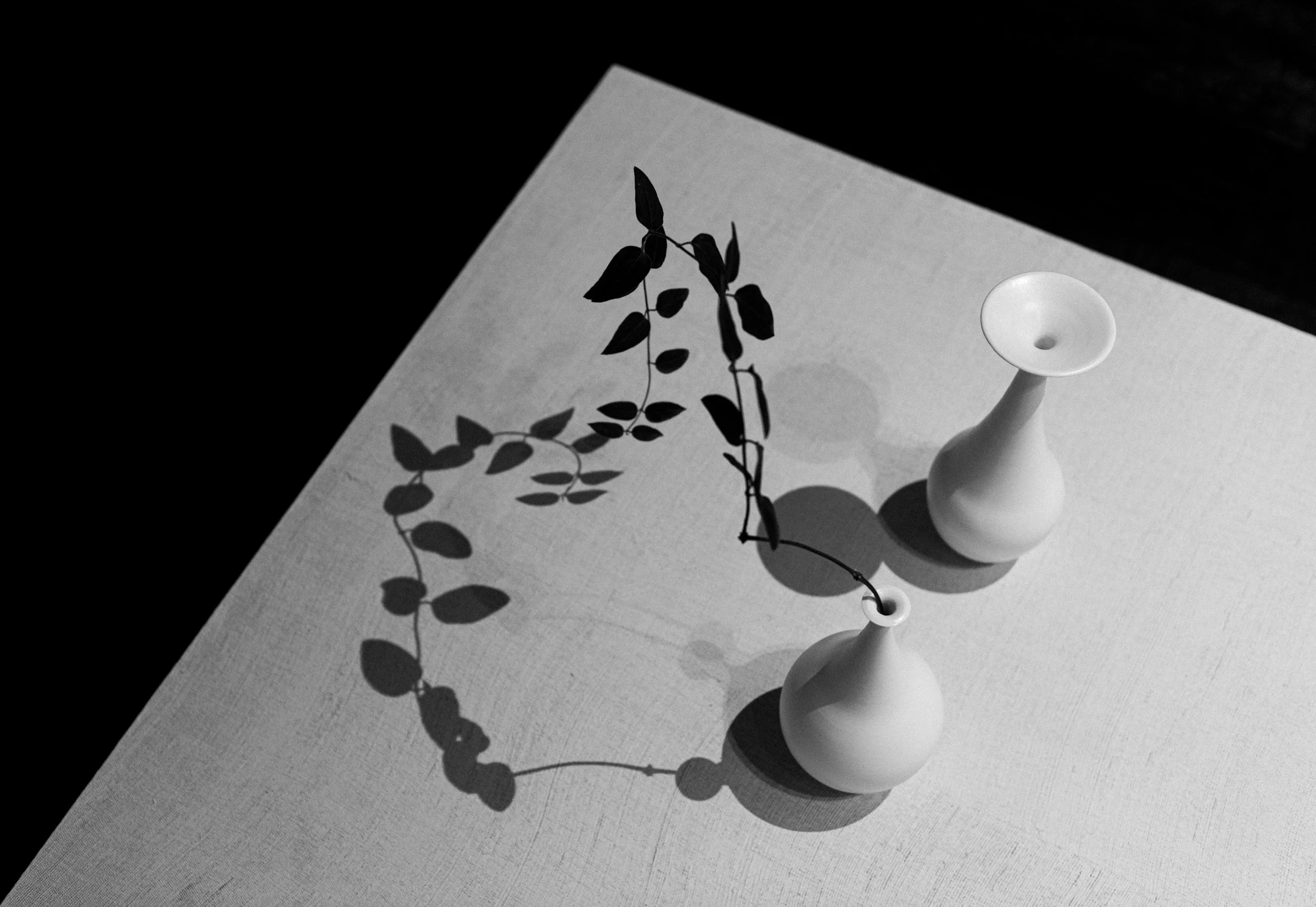 White Through Time, Shanye Art Gallery, Shanghai, China, 2025