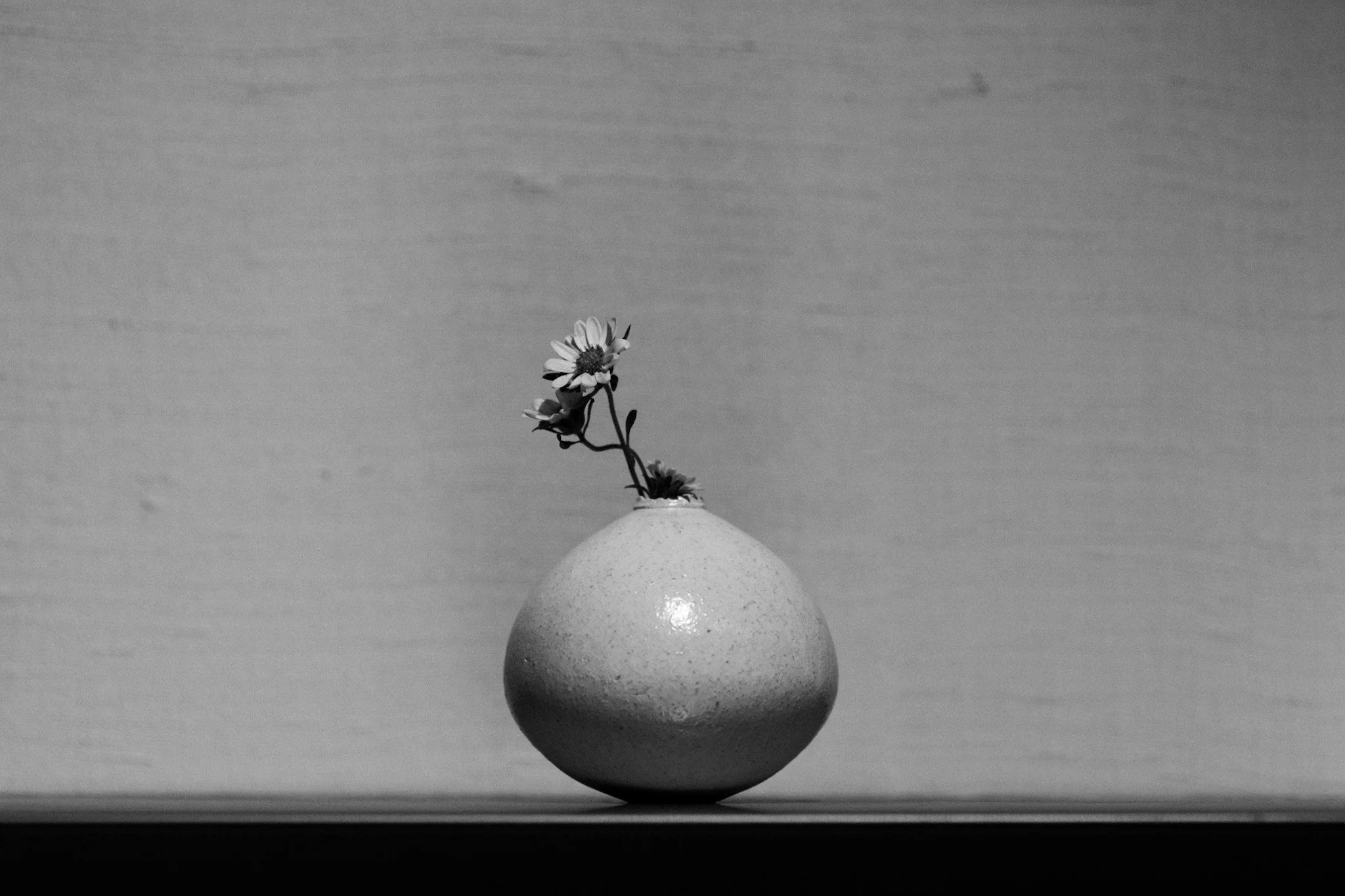 Shanye Art Gallery, Shanghai, China, 2025