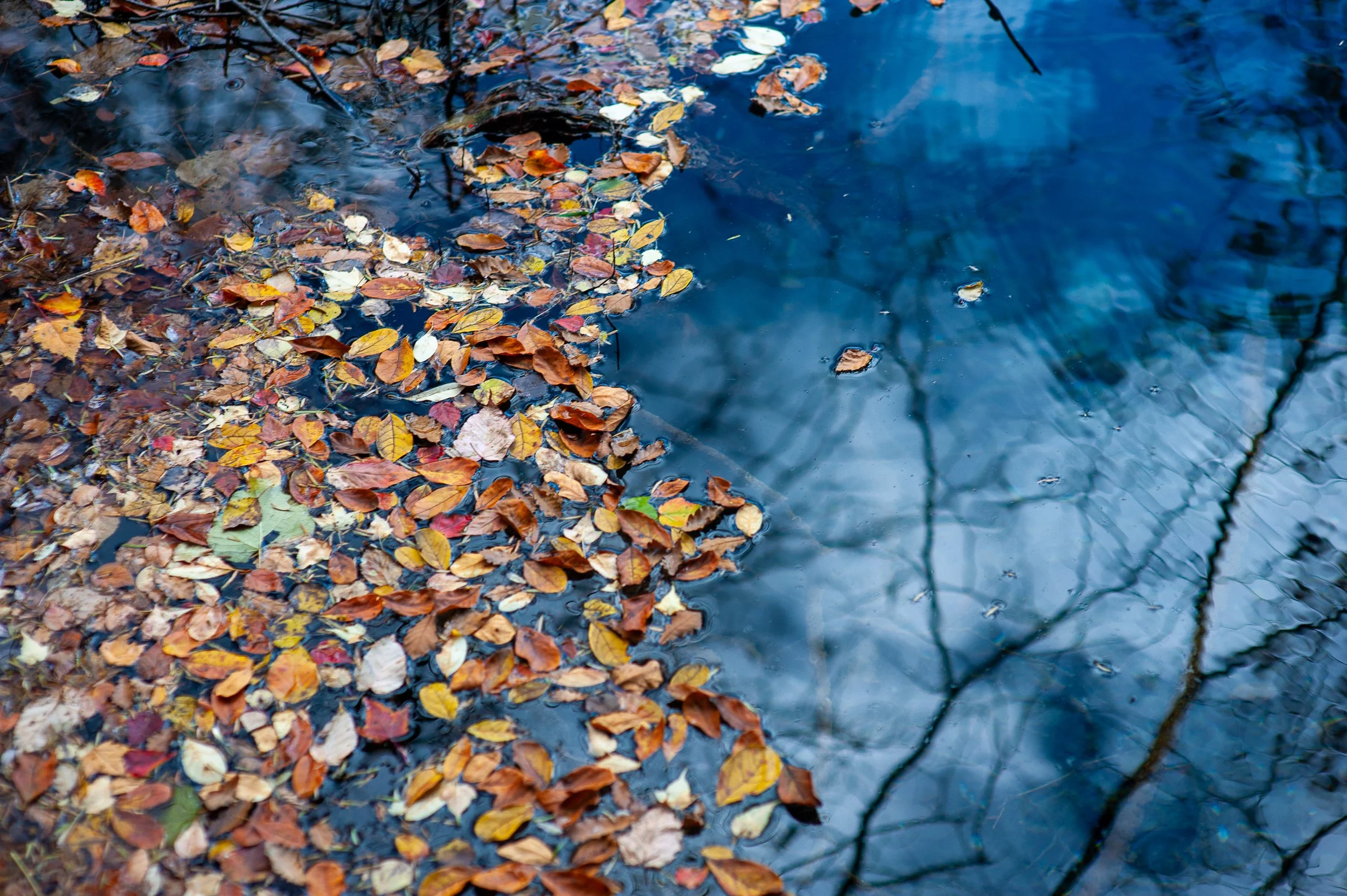 Jiuzhai Valley, China, 2011