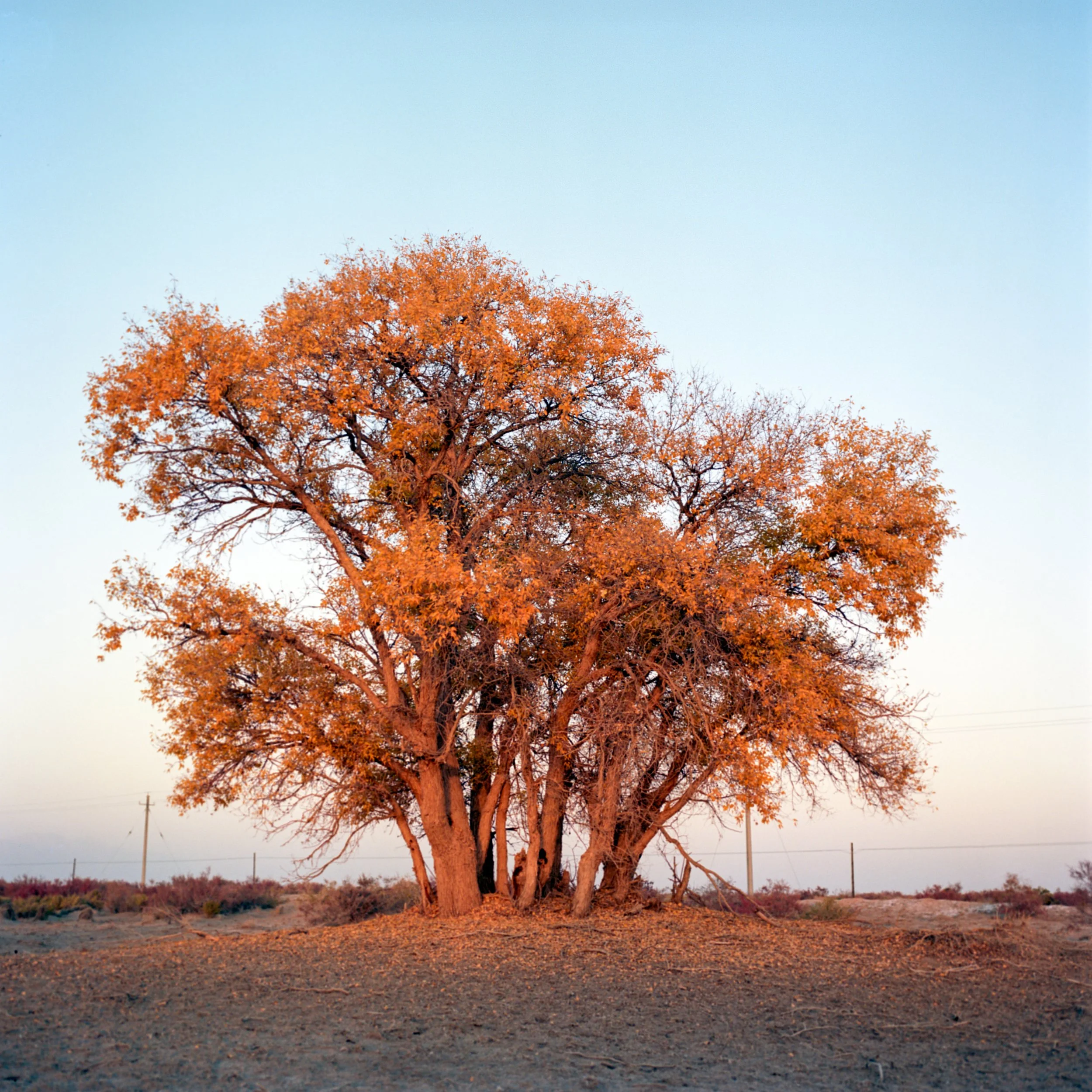 Akesu, Xinjiang, China, 2023