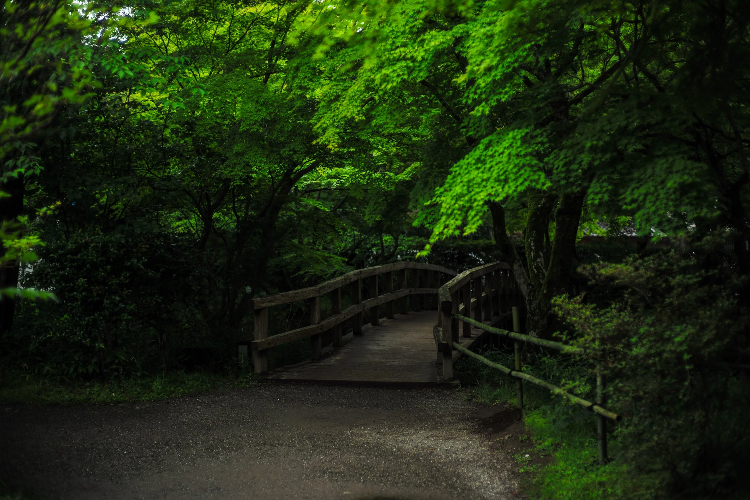 Yufuin, Kyushu, Japan, 2018