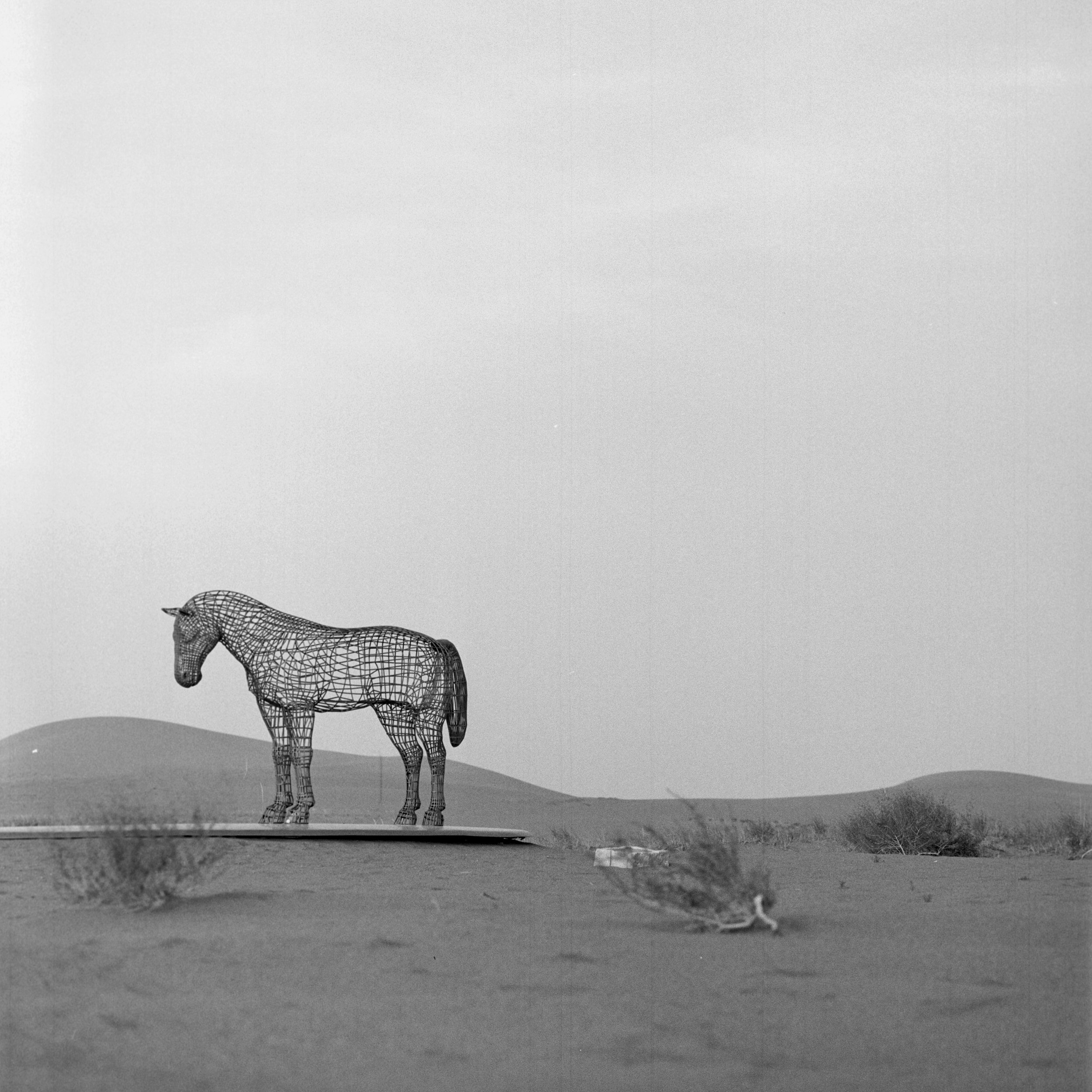 Desert Sculpture Camp, Minqin, Gansu, China, 2026