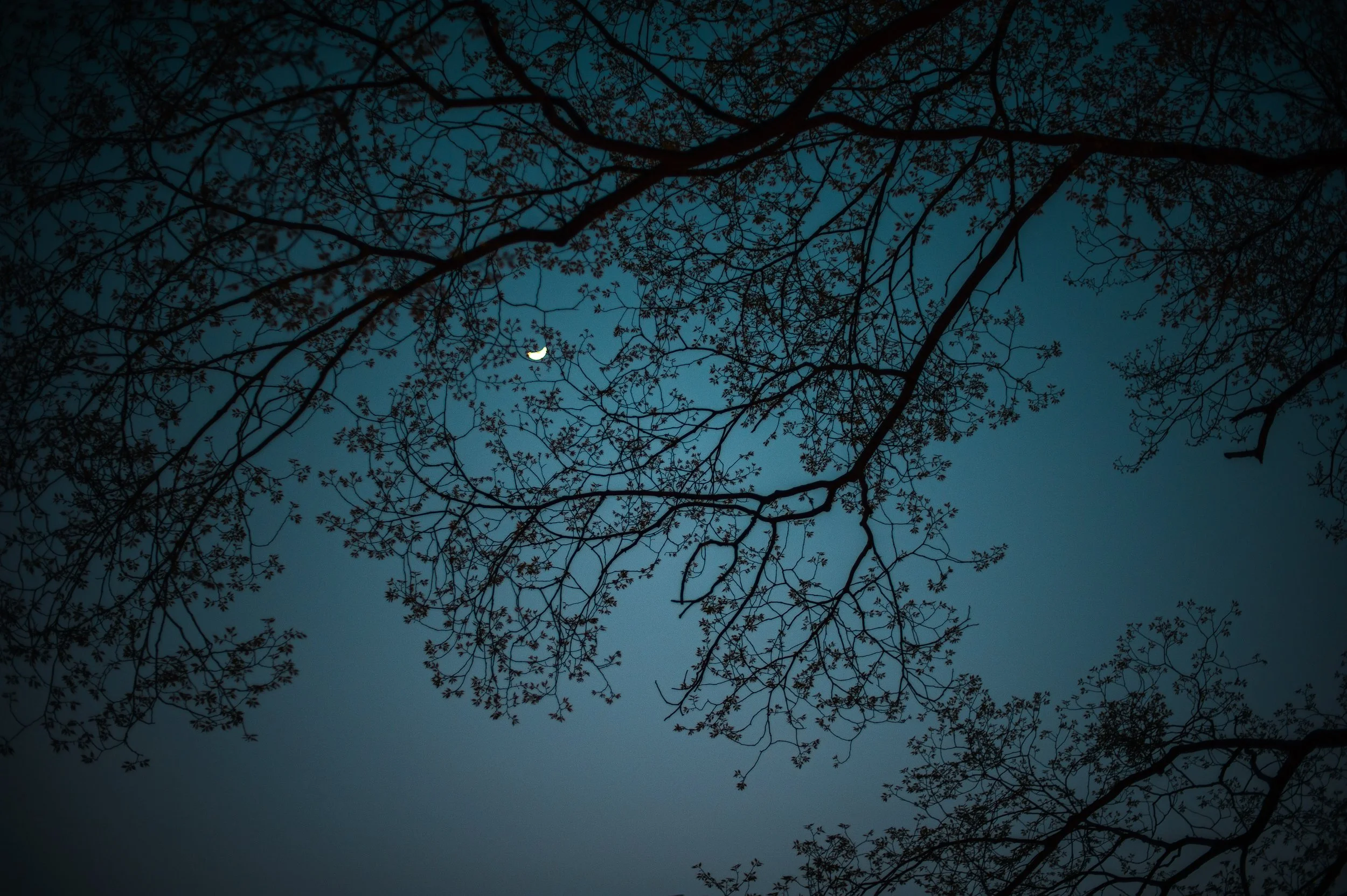 Shanghai, China, 2011