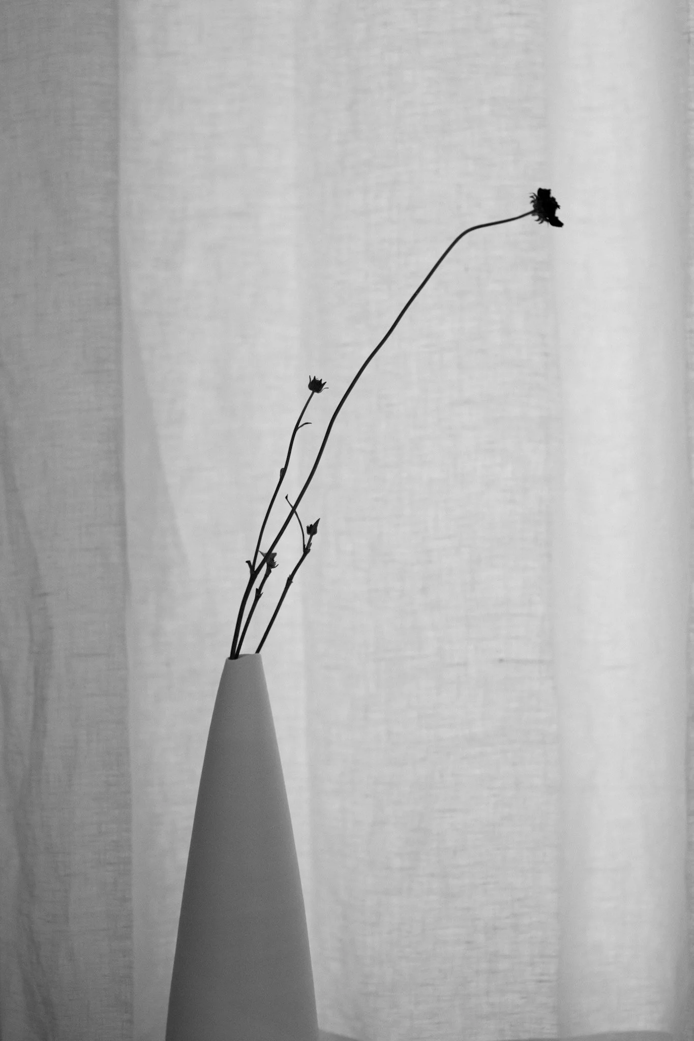 Shanye Art Gallery, Shanghai, China, 2025