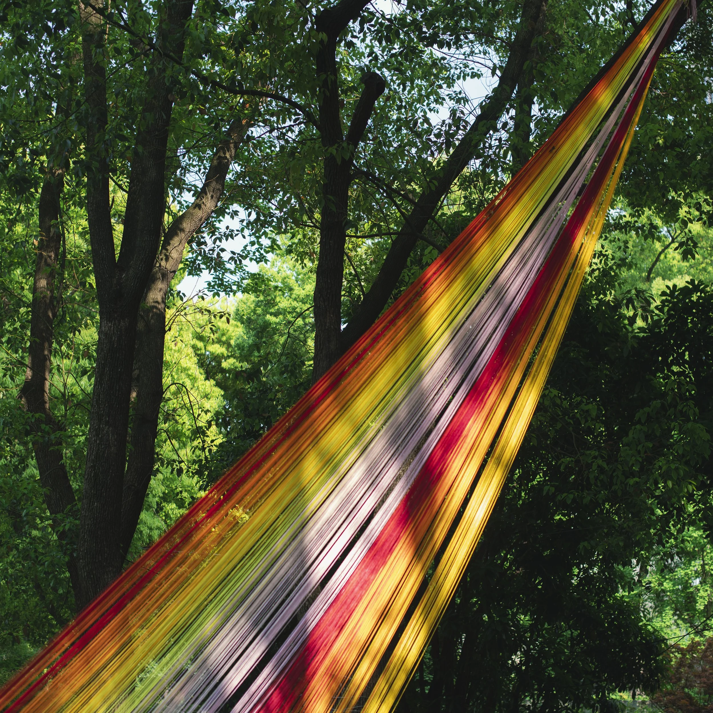 Flower show, Shanghai, China, 2026