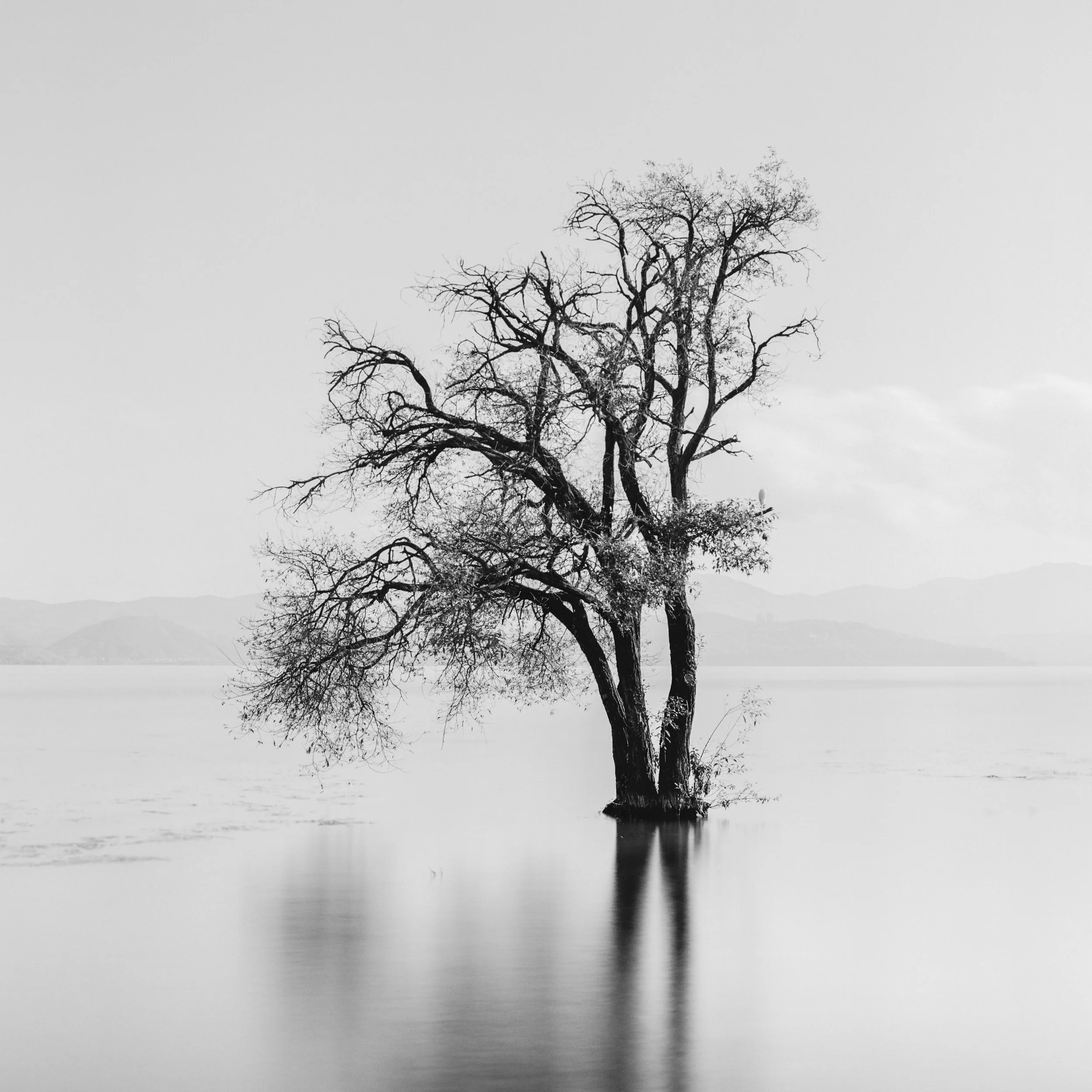 Erhai Lake, Dali, China, 2025