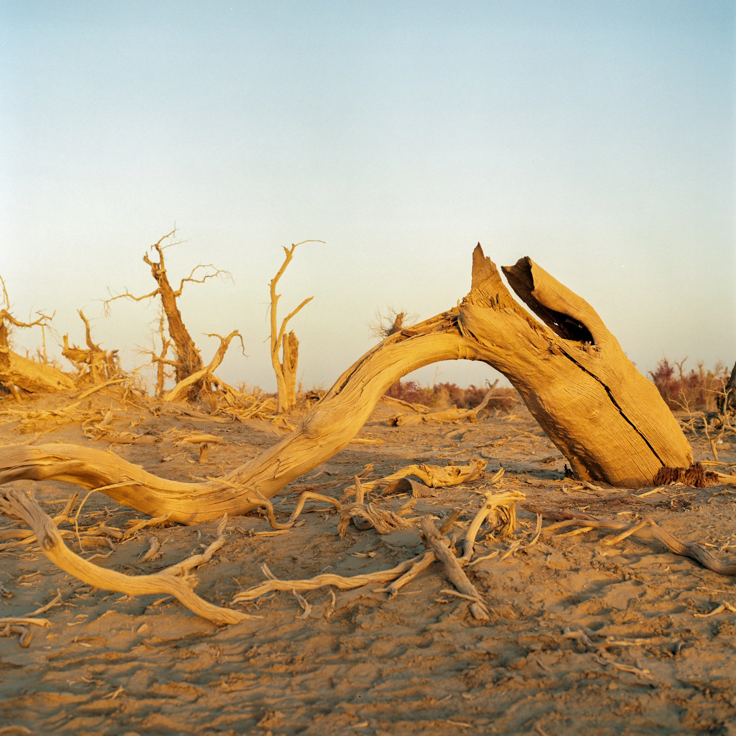 Akesu, Xinjiang, China, 2023