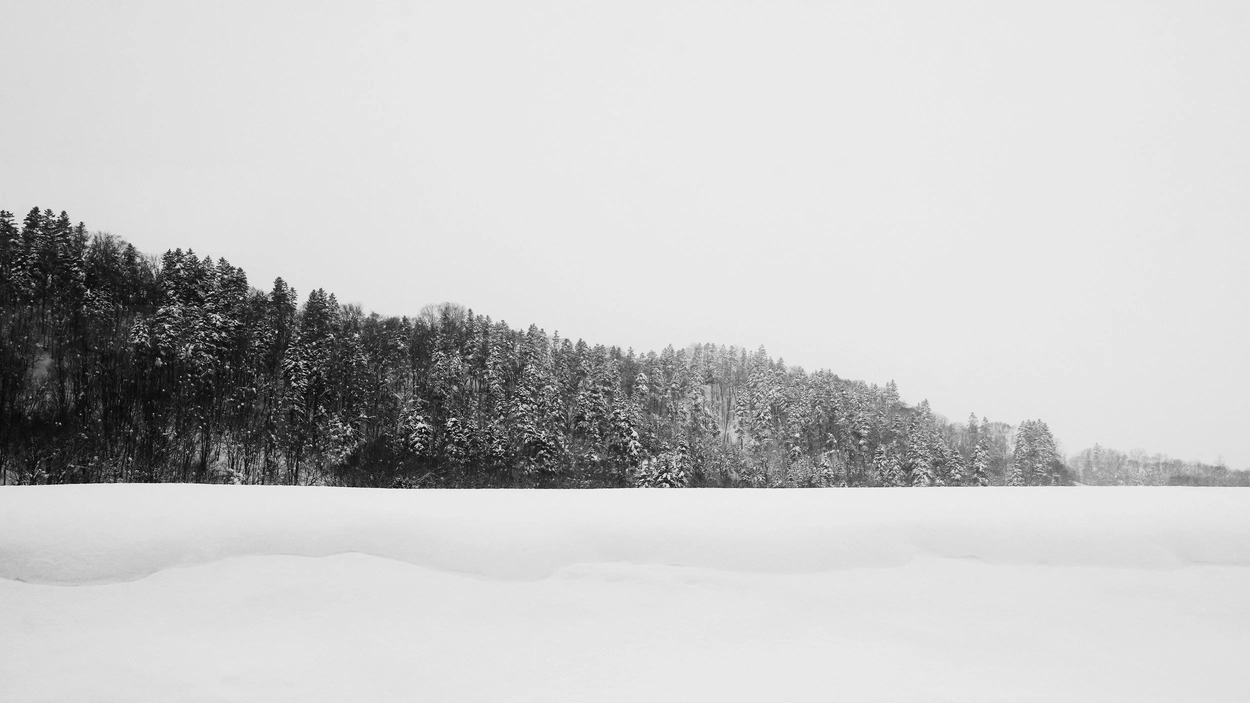 Hokkaido, Japan, 2020