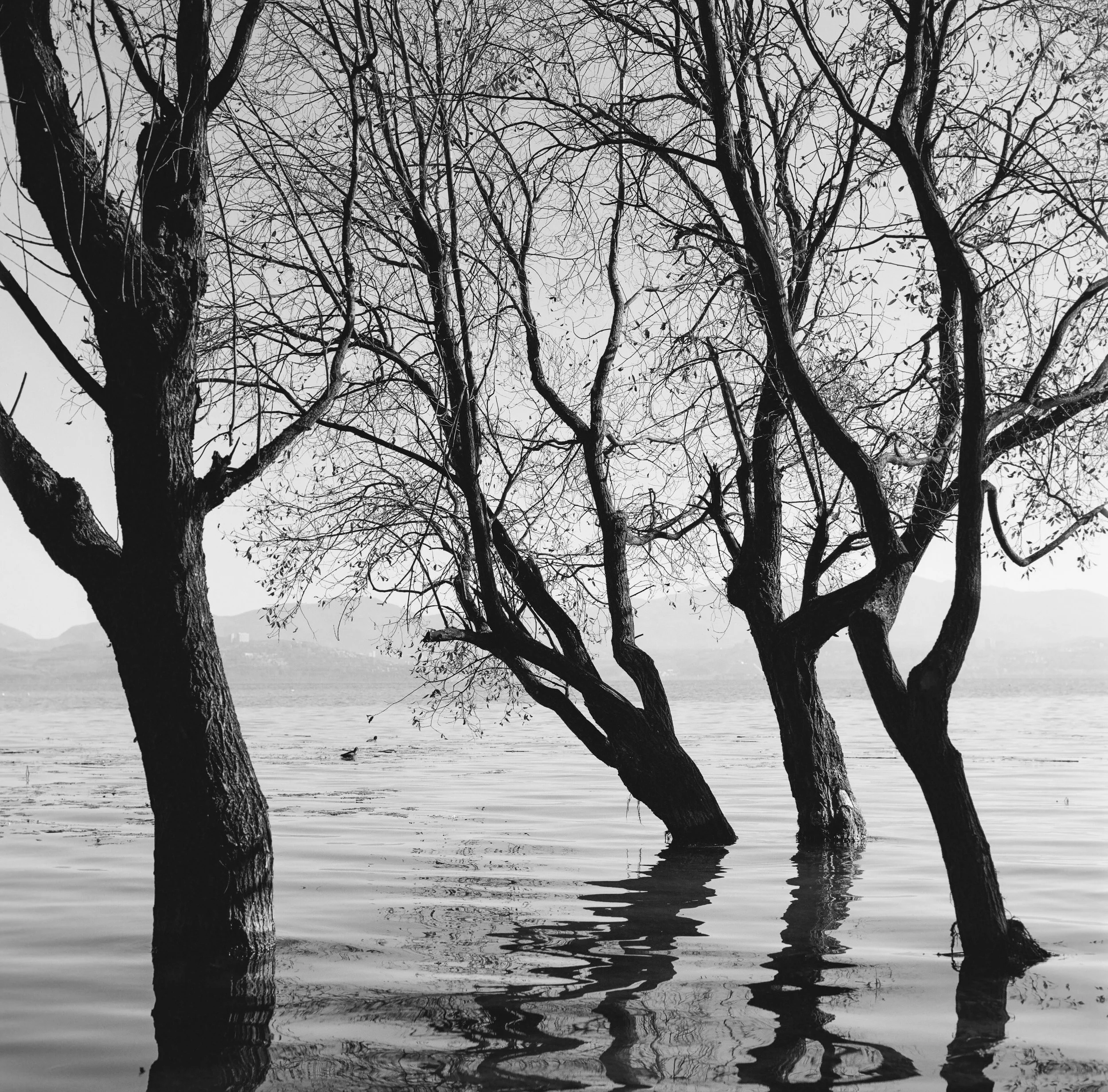 Erhai Lake, Dali, China, 2025