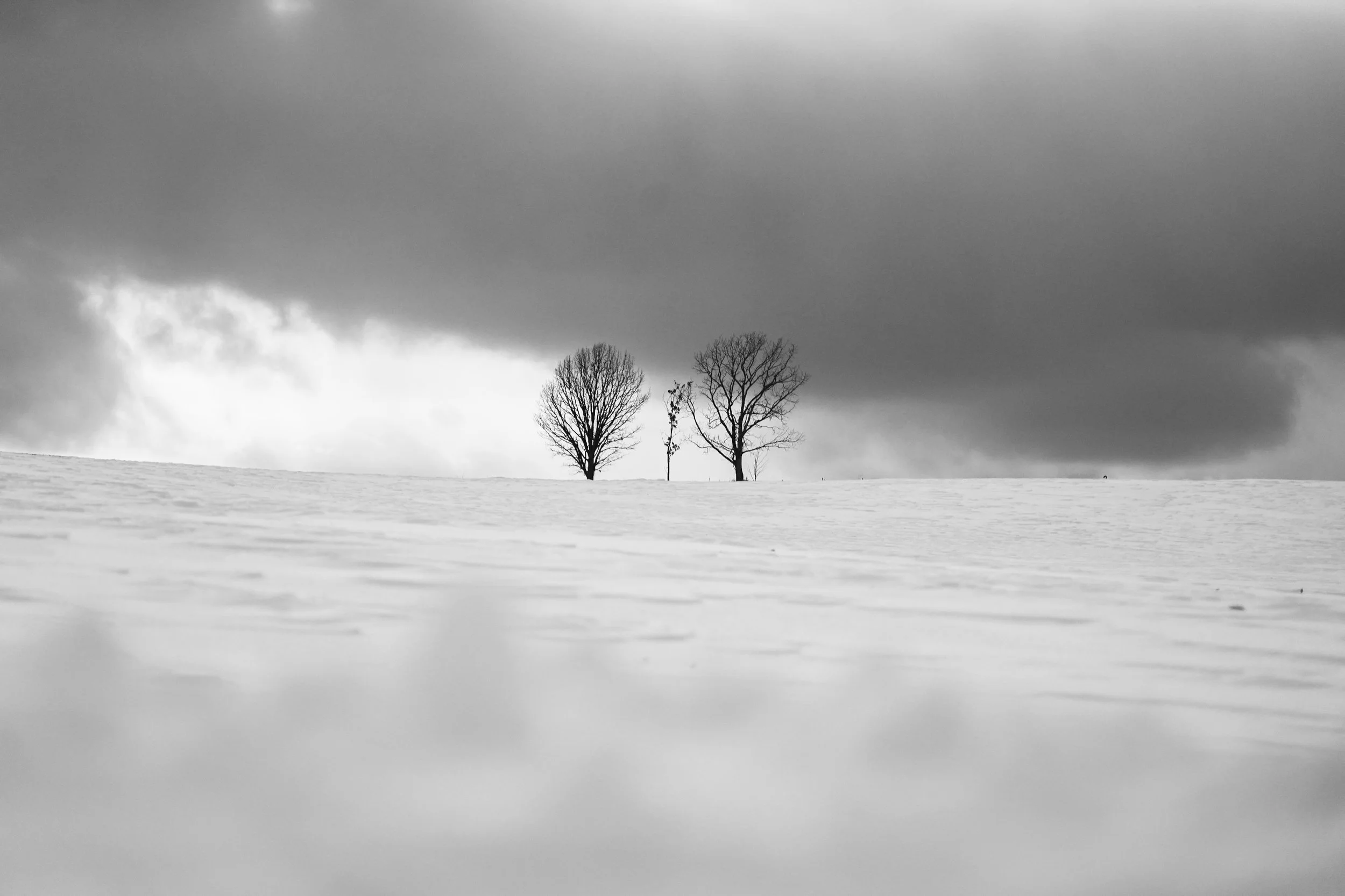 Biei, Hokkaido, Japan, 2020