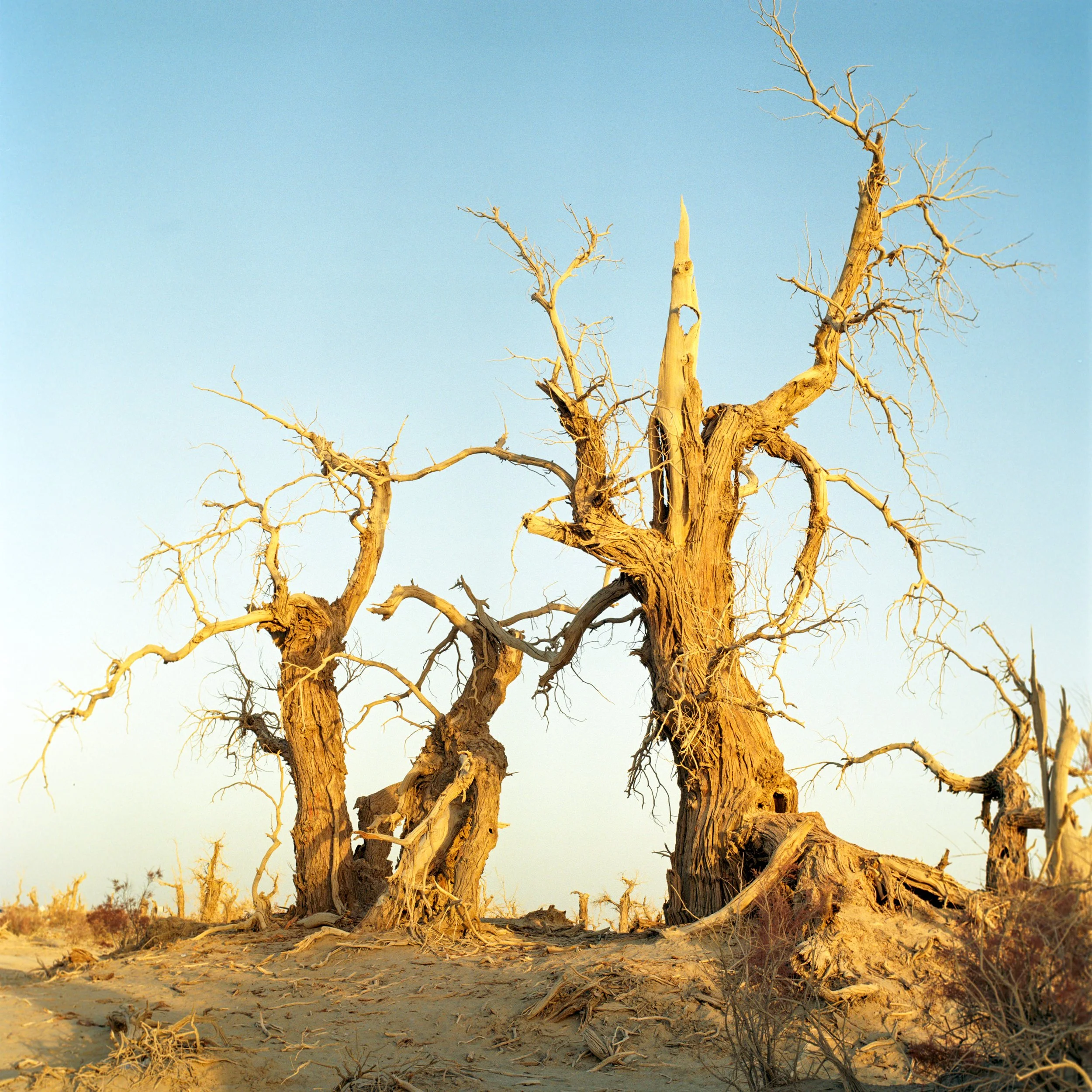 Akesu, Xinjiang, China, 2023