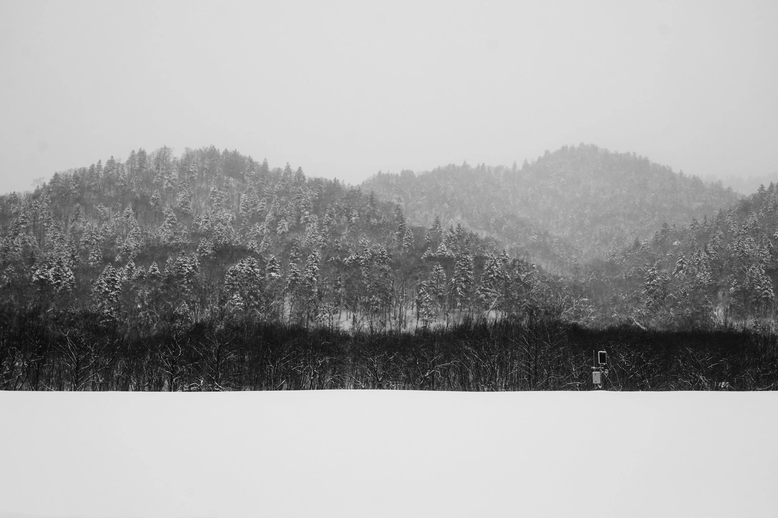 Hokkaido, Japan, 2020