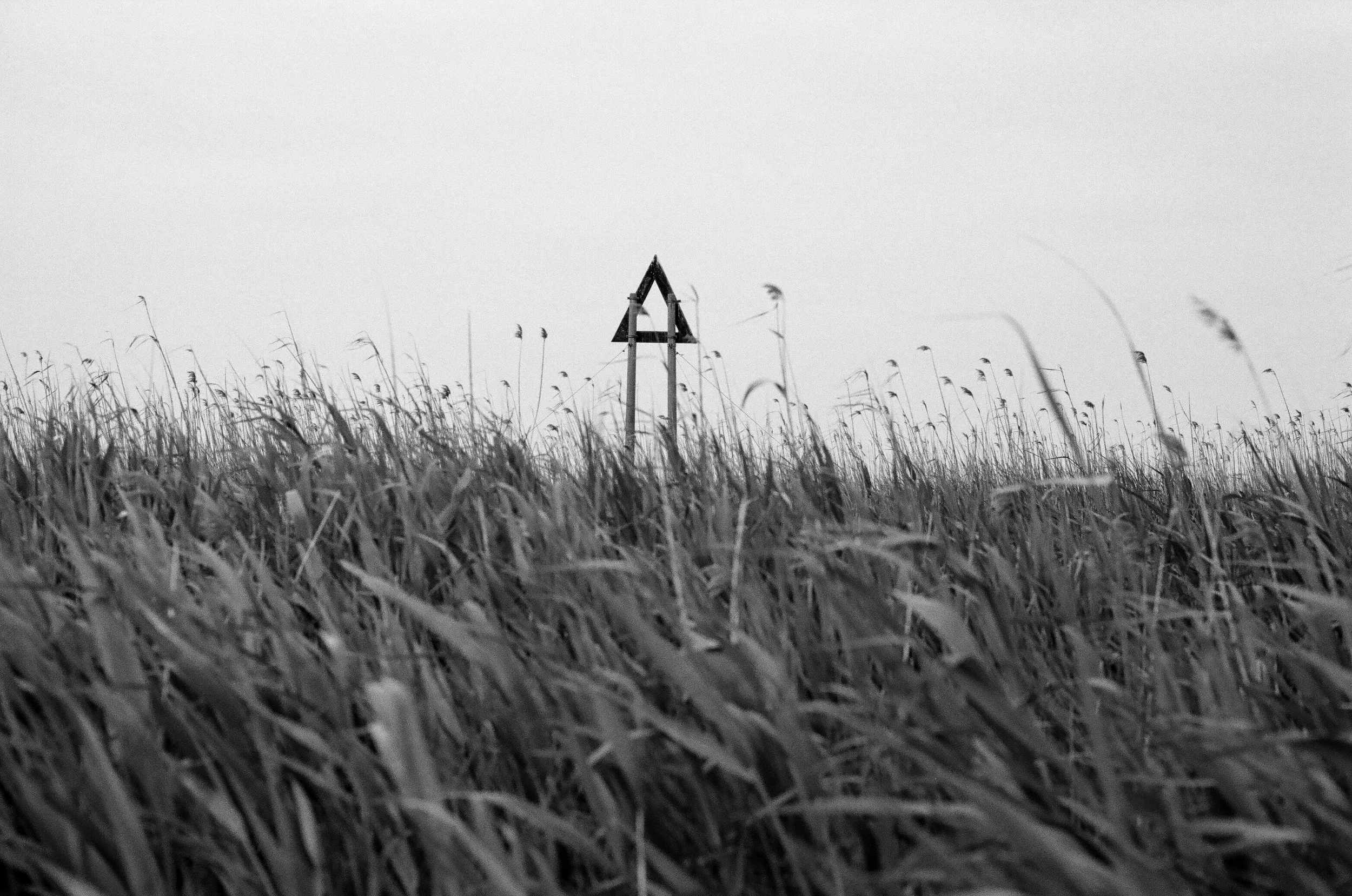 Changxing Island, Shanghai, China, 2023