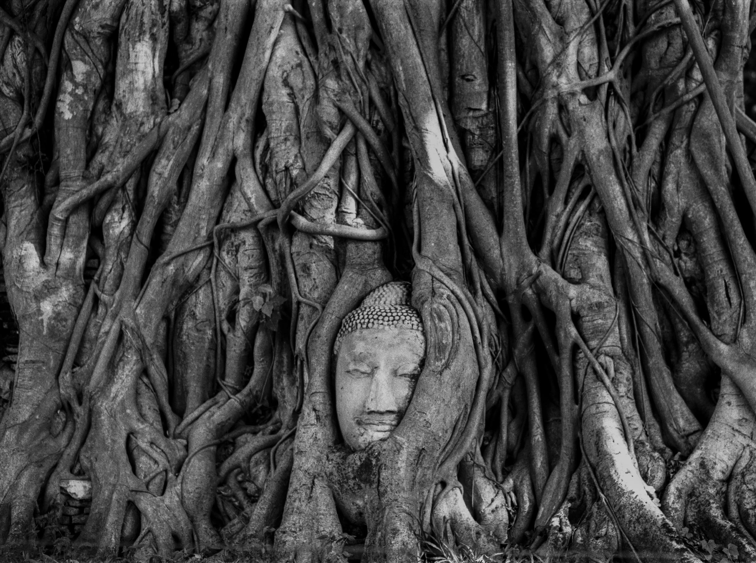 Wat Mahathat, Ayutthaya, Thailand, 2024
