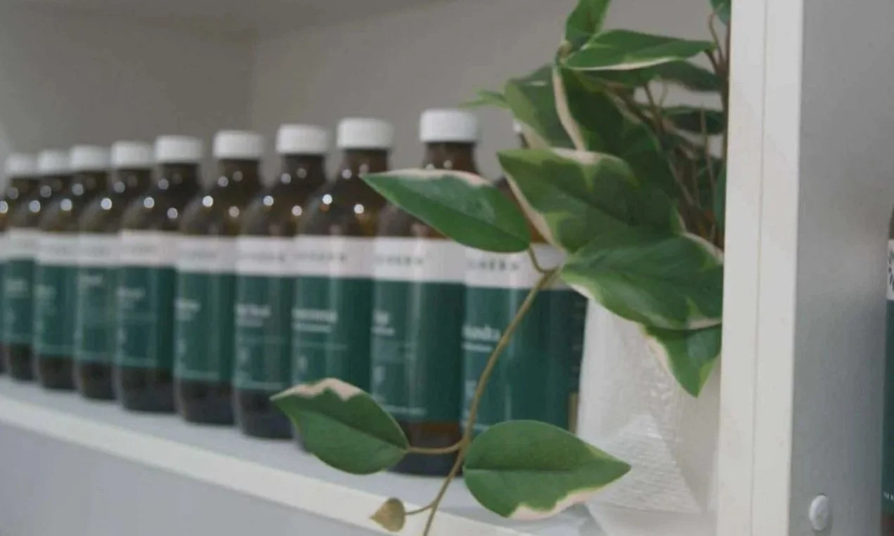 Shelf with multiple brown bottles with white caps and a leafy green plant in front.