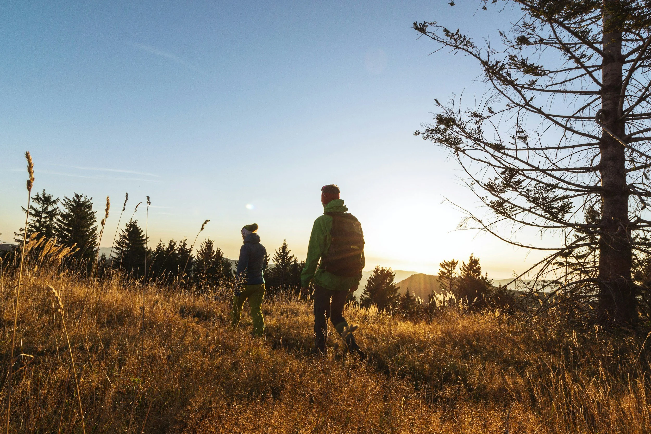 Southern Pine Outdoors