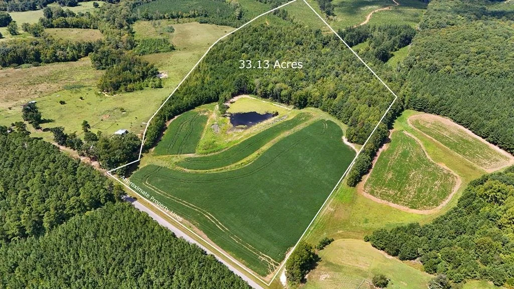 33.13 AC Wightman Rd, Chase CIty, VA
