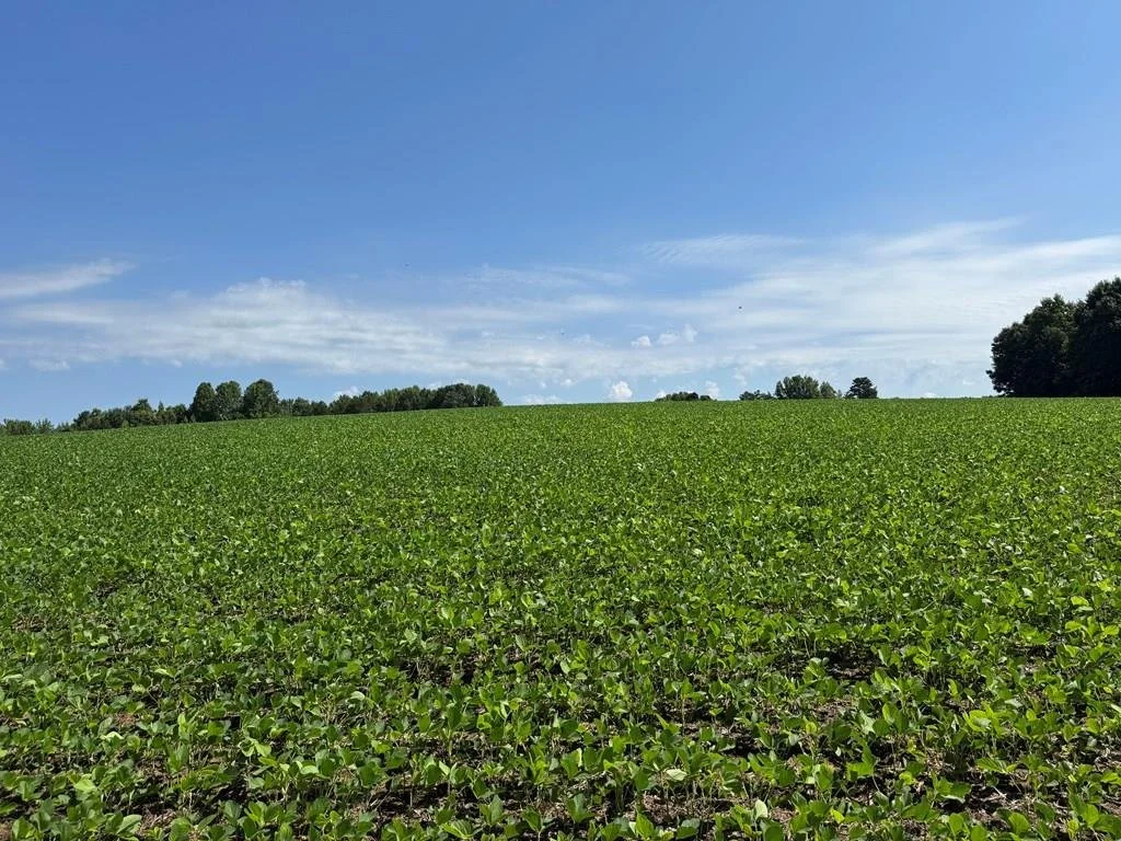 84.21 Acres Baskerville Rd, Baskerville, VA