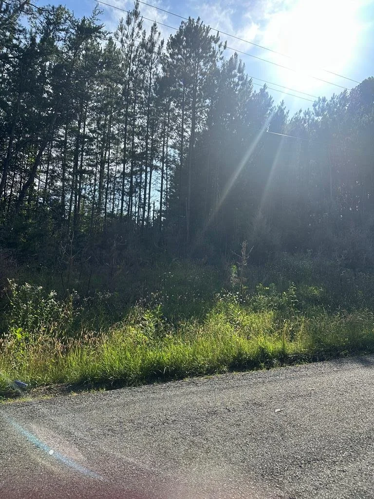 4.86 Acres Burton Rd, Scottsburg, VA 