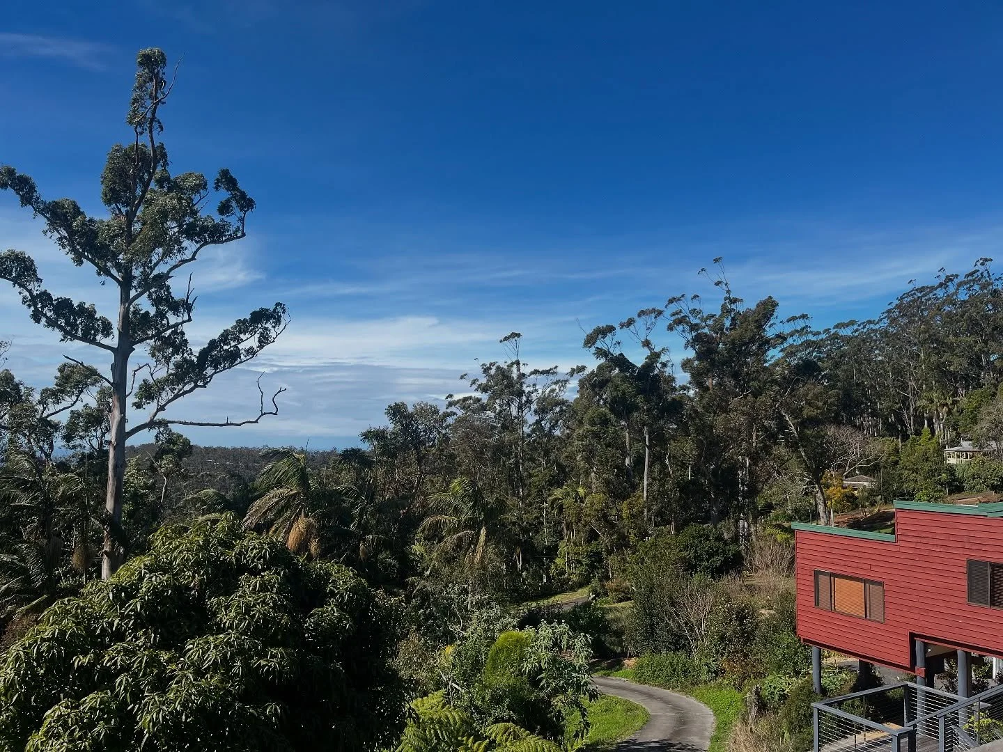 .
Today, I had the chance to meet a ceramic artist who studied pottery in Korea and has spent many years in Brisbane, sharing her craft as a teacher. I also came across a video that thoughtfully explored the importance of connection and camaraderie a