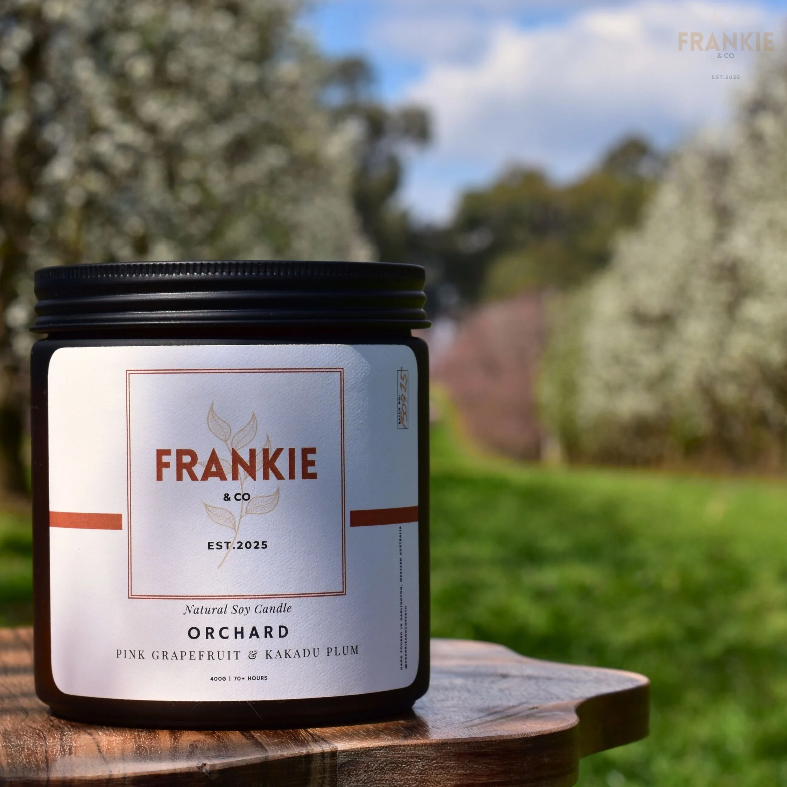 ORCHARD (5).jpg