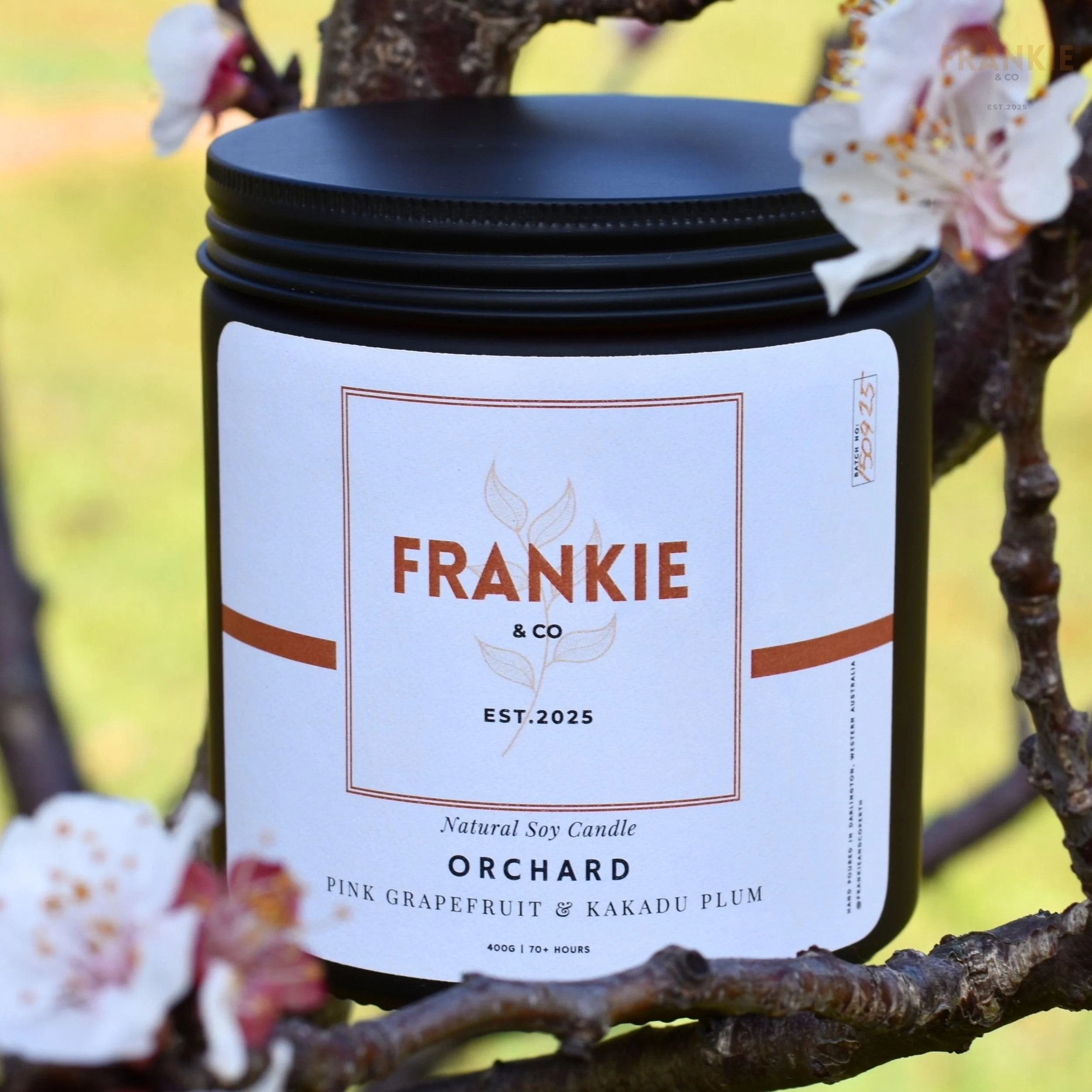 ORCHARD (2).jpg