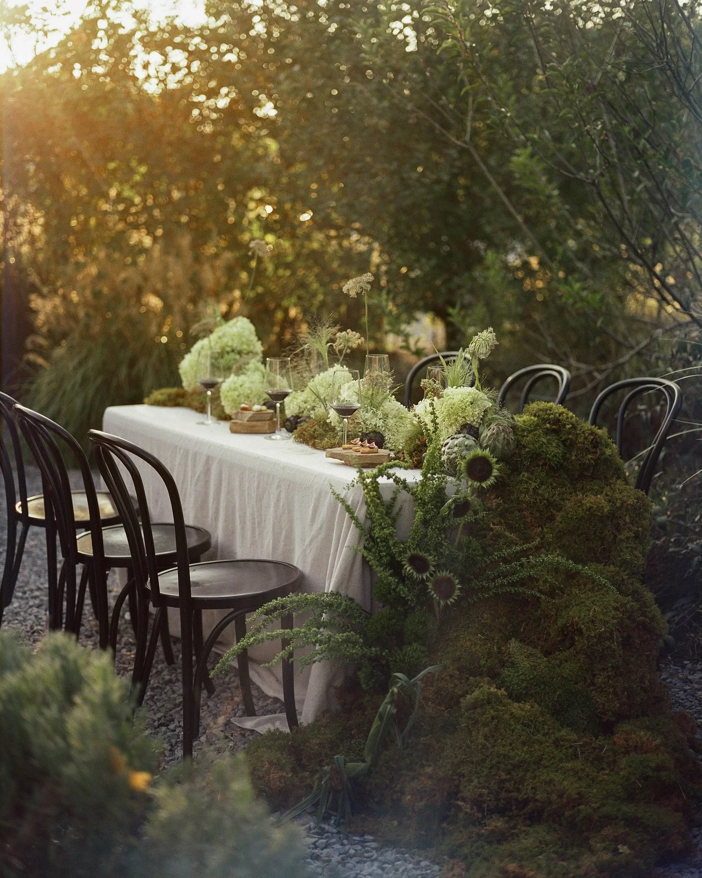 A wine tasting in the garden inspired by the soil, the foundation of growth- both in wine and in business 🤎 for @laurenledbetter&rsquo;s Elements of Brand 

Concept + art direction @laurenledbetter 
Planning + design @jessmckinneyevents 
Photography